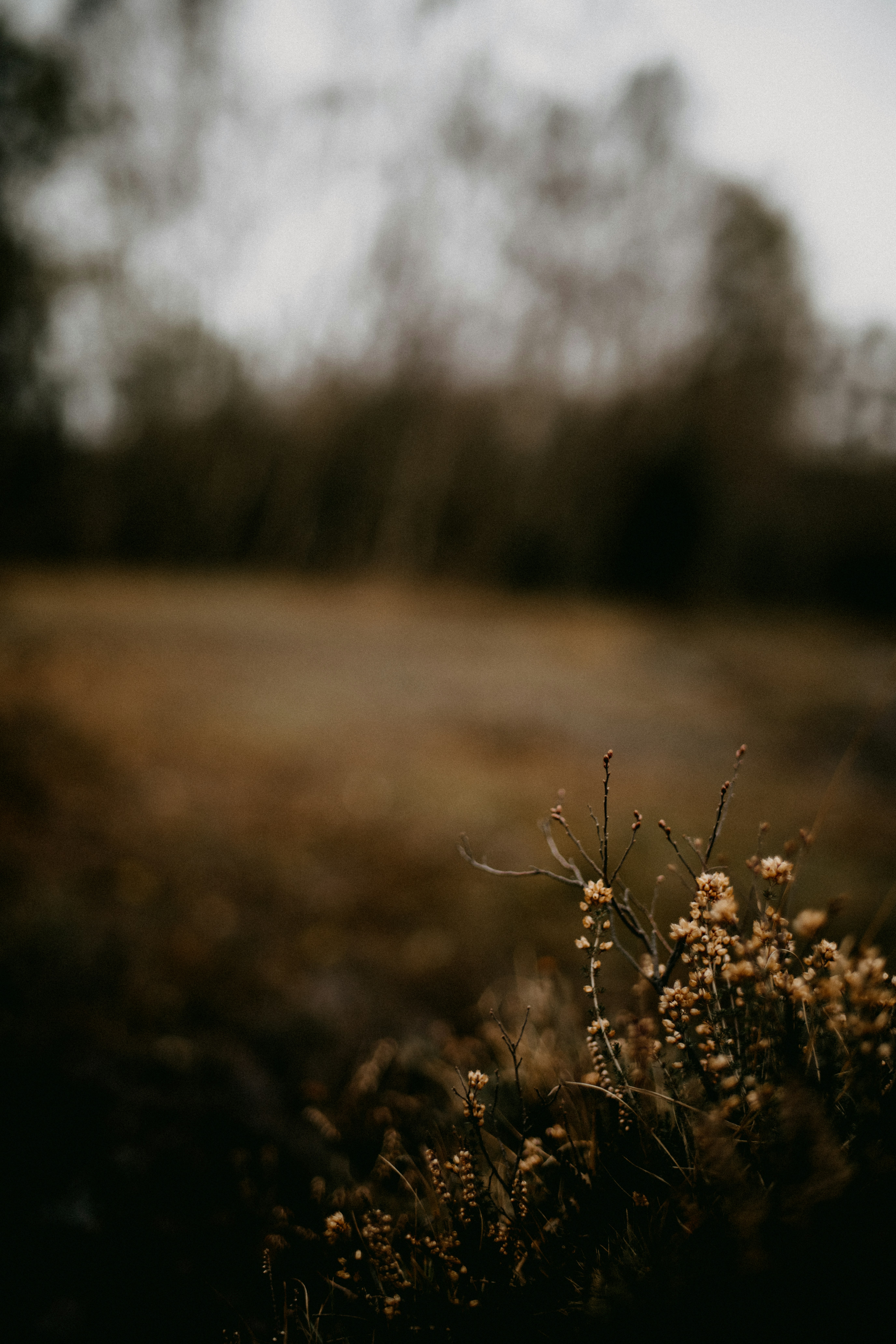 Photo by anniespratt