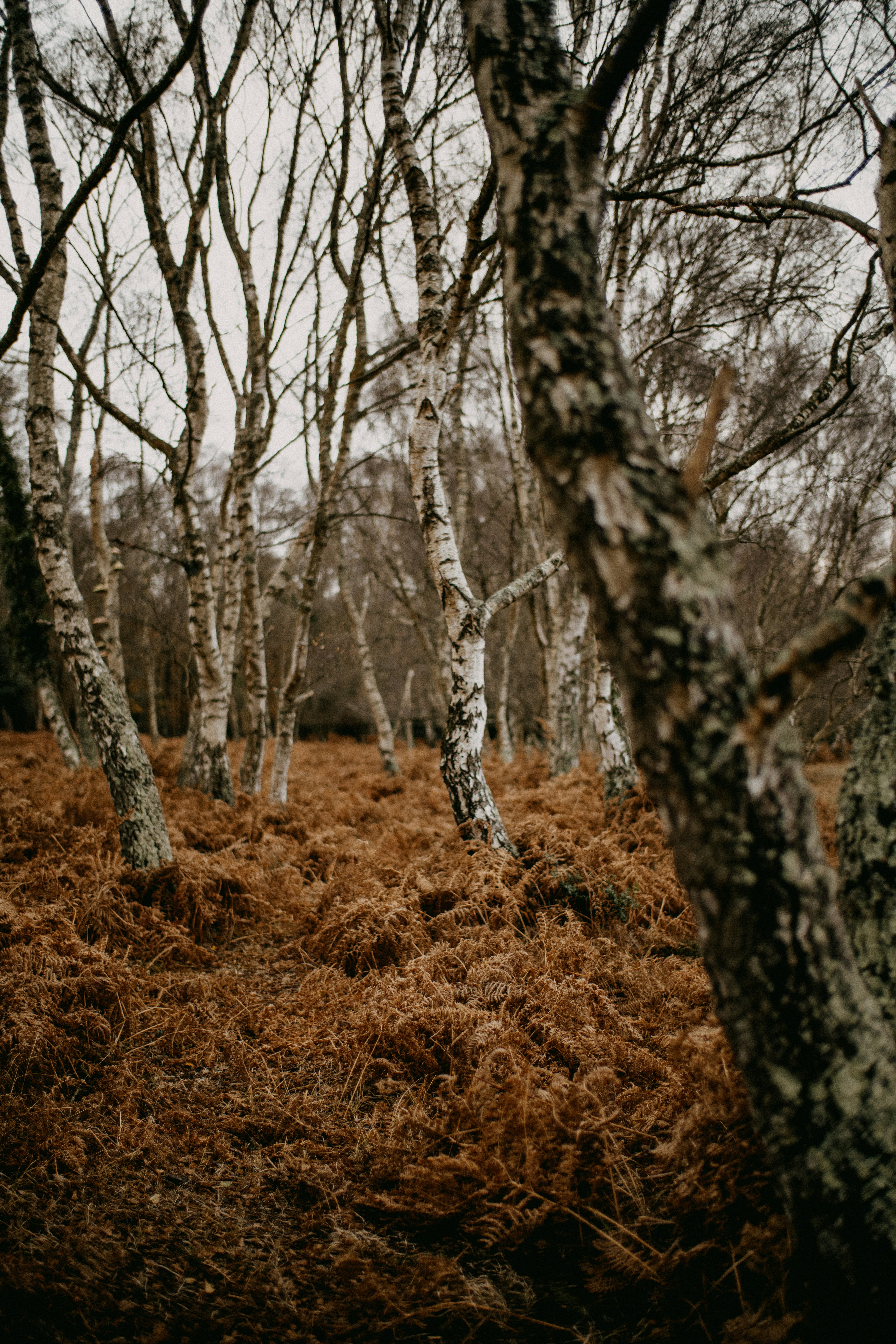 Photo by anniespratt