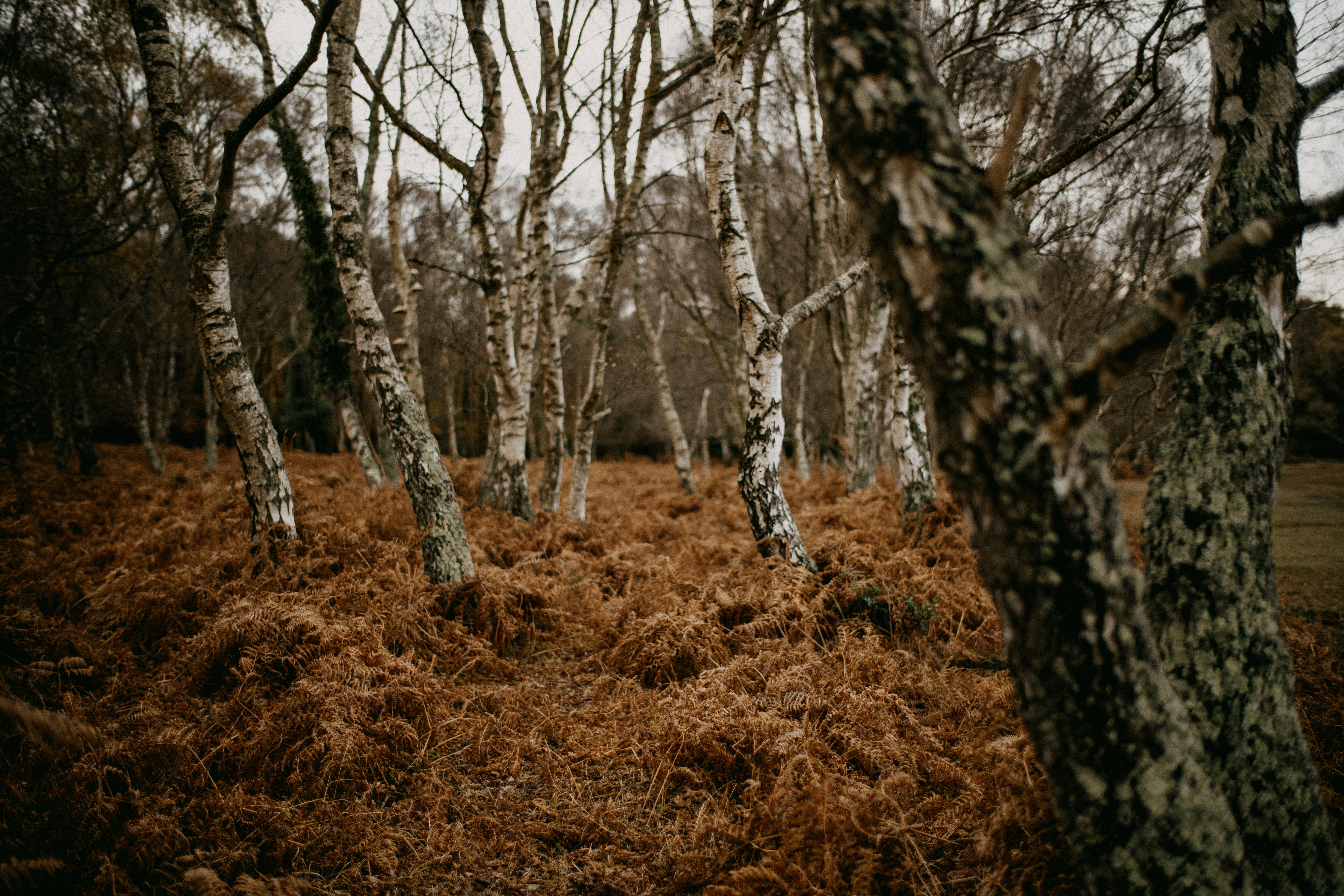 Photo by anniespratt