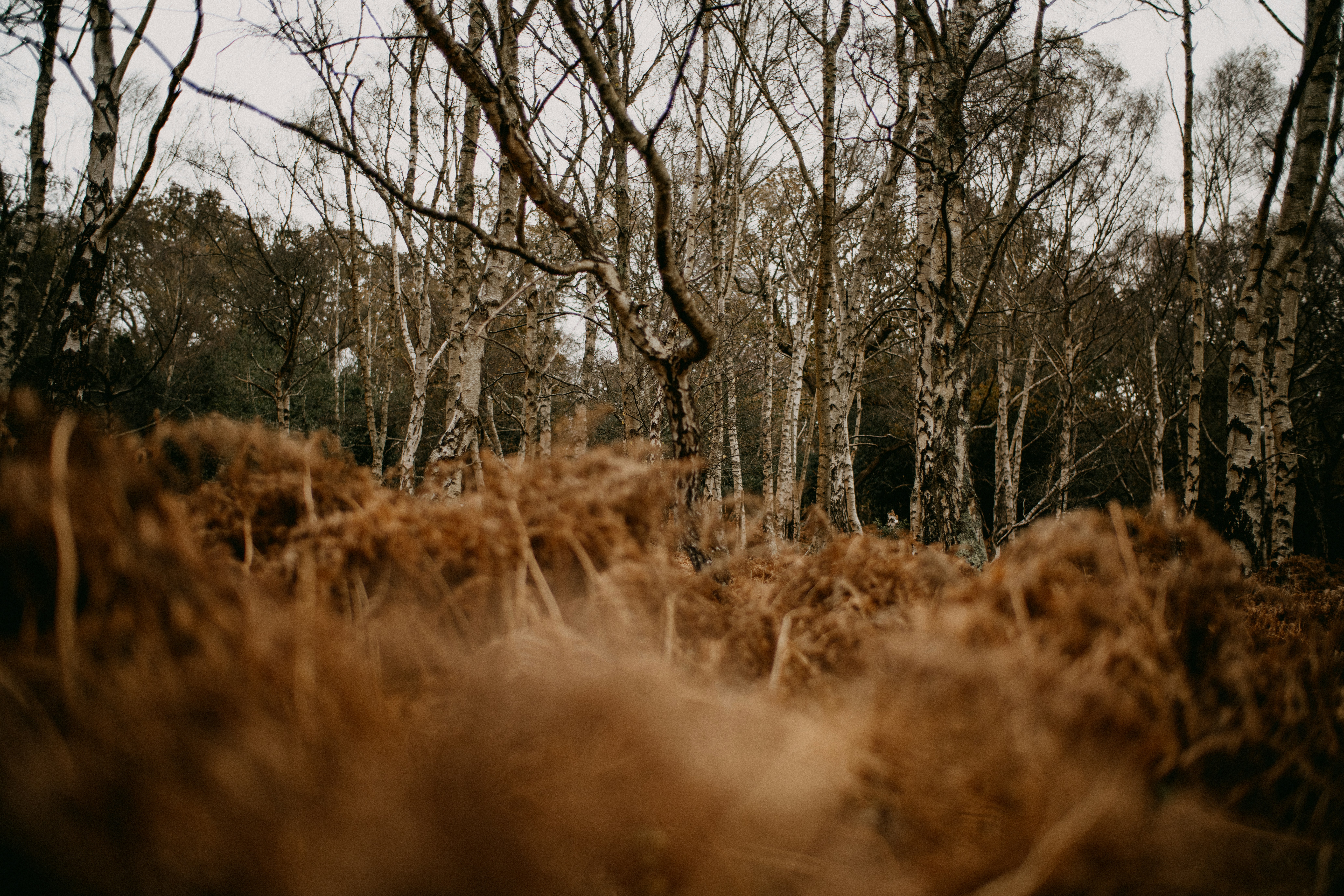 Photo by anniespratt