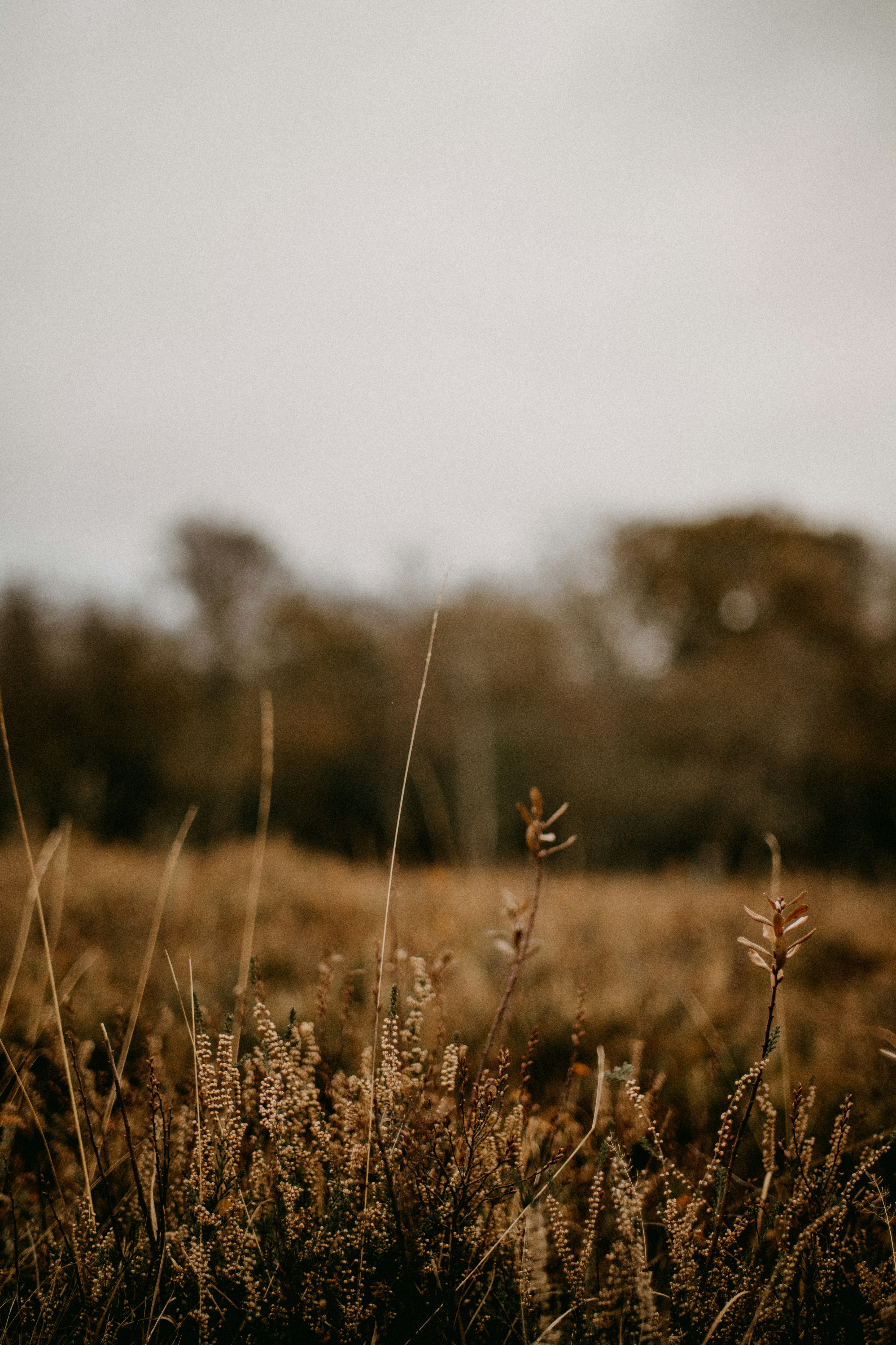 Photo by anniespratt