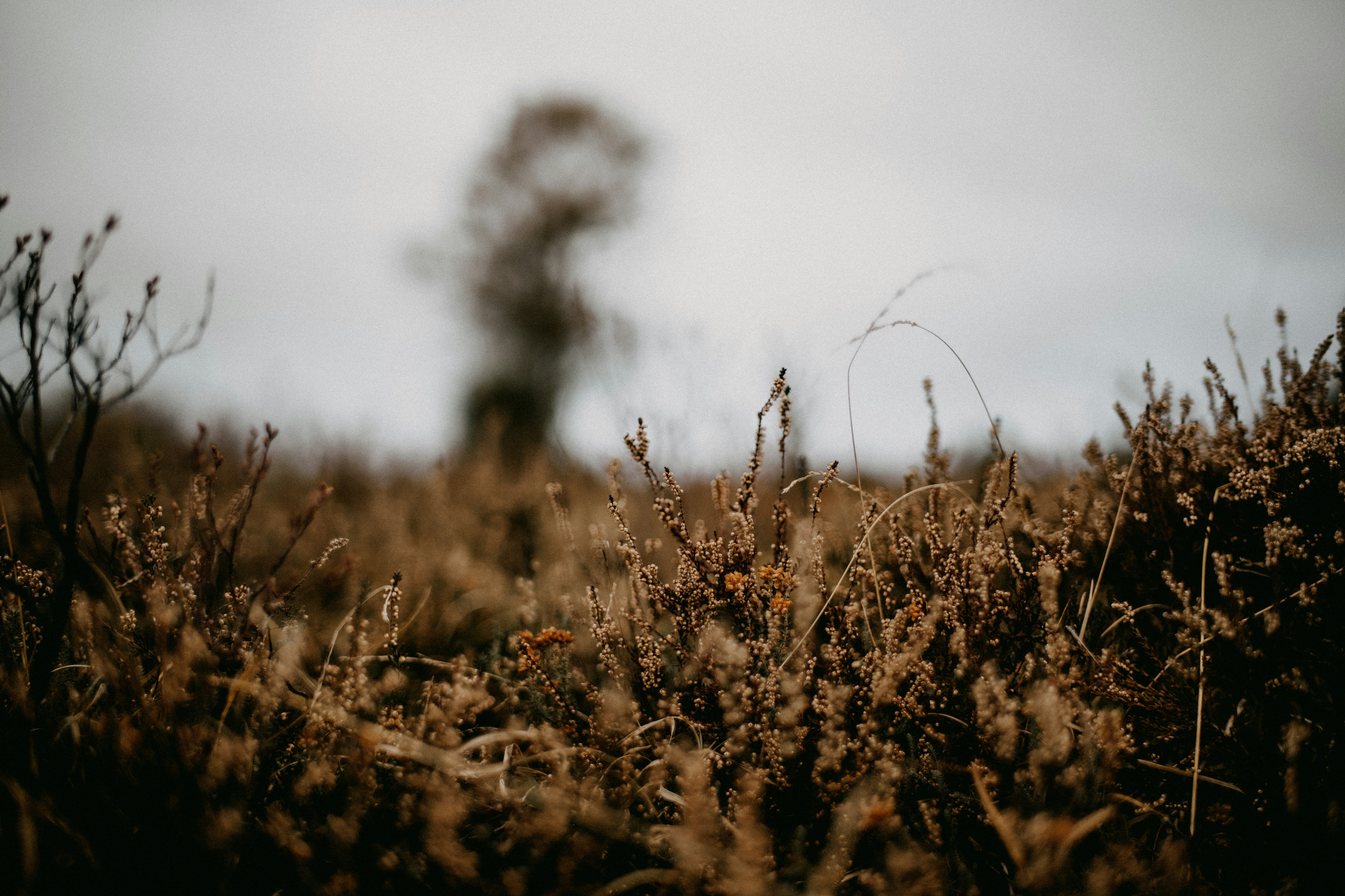 Photo by anniespratt