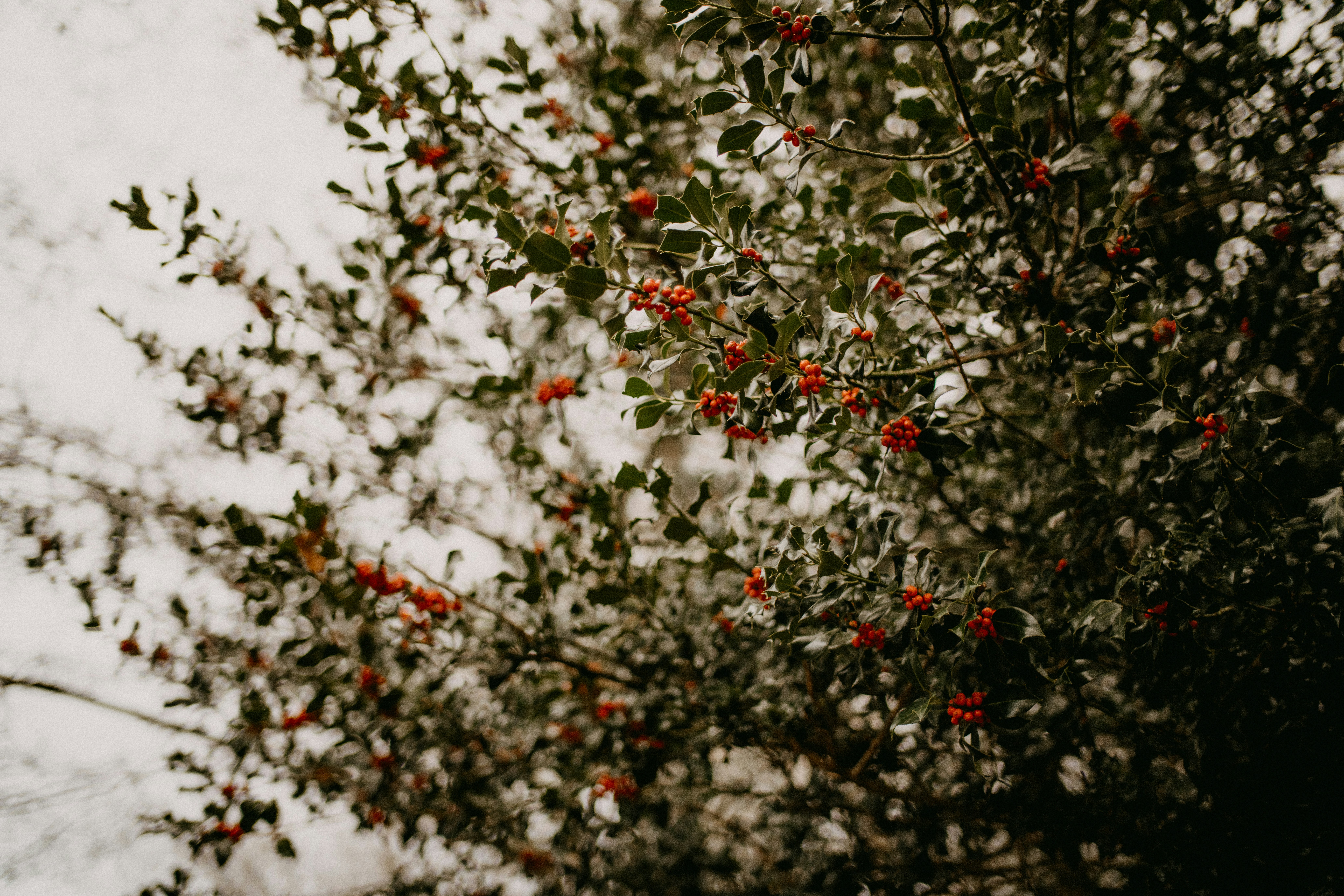 Photo by anniespratt