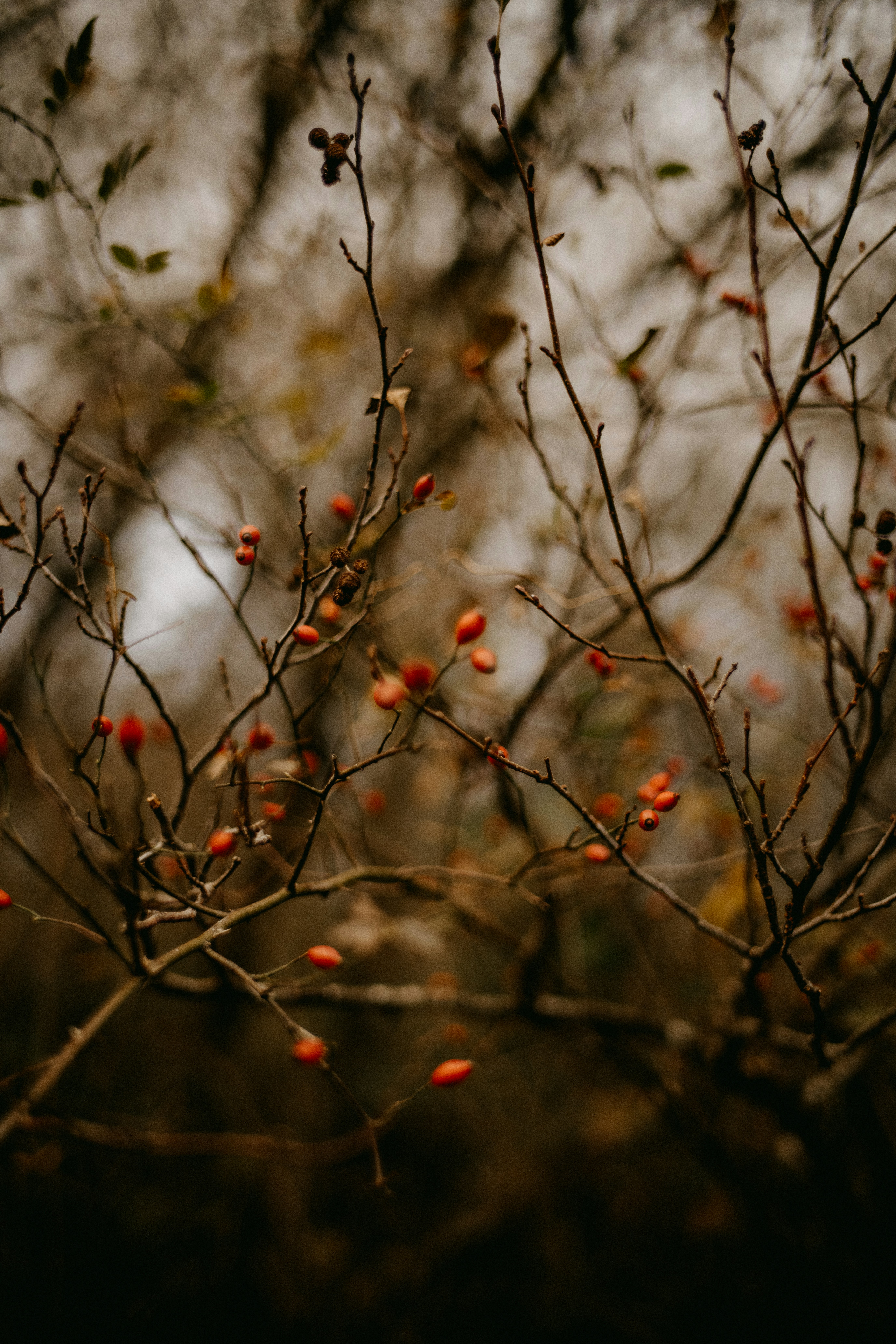 Photo by anniespratt