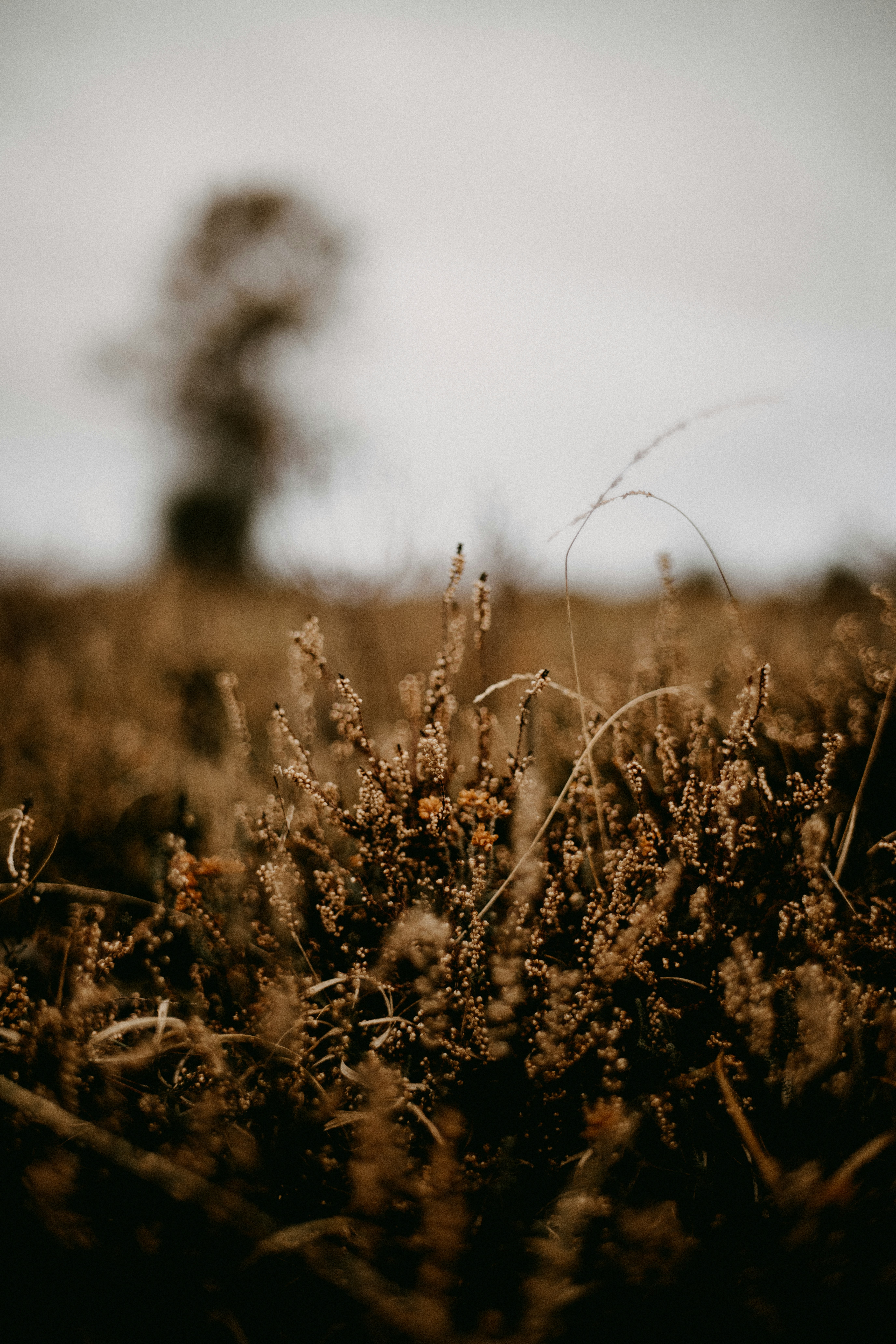 Photo by anniespratt