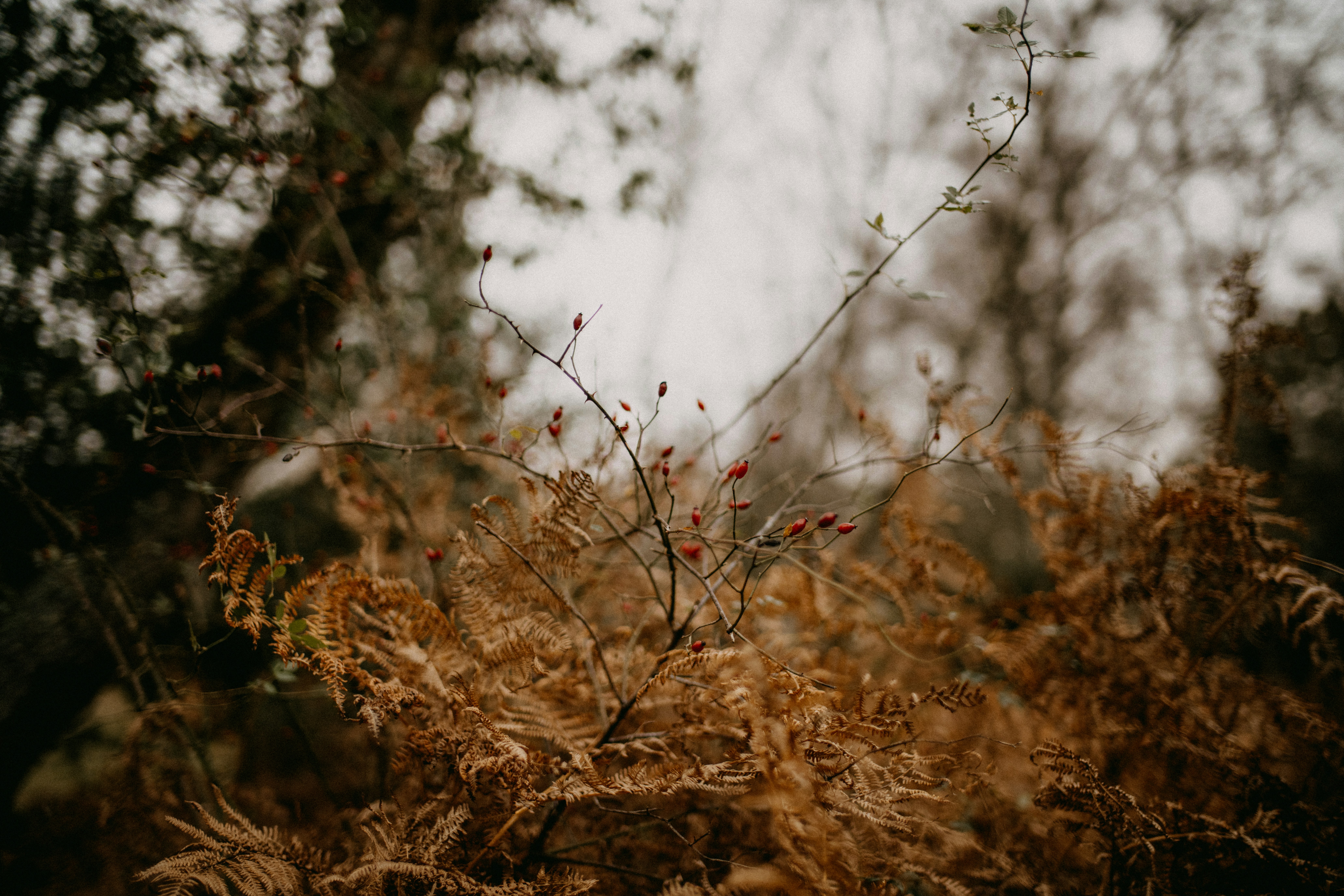 Photo by anniespratt