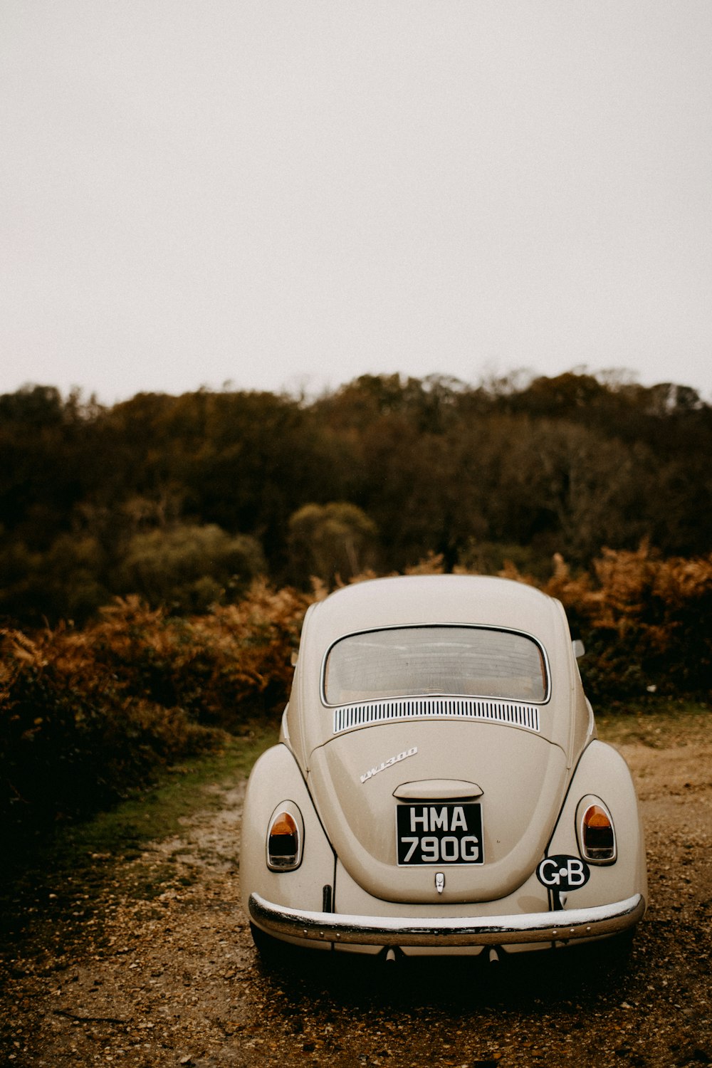 a white vw bug parked on a dirt road