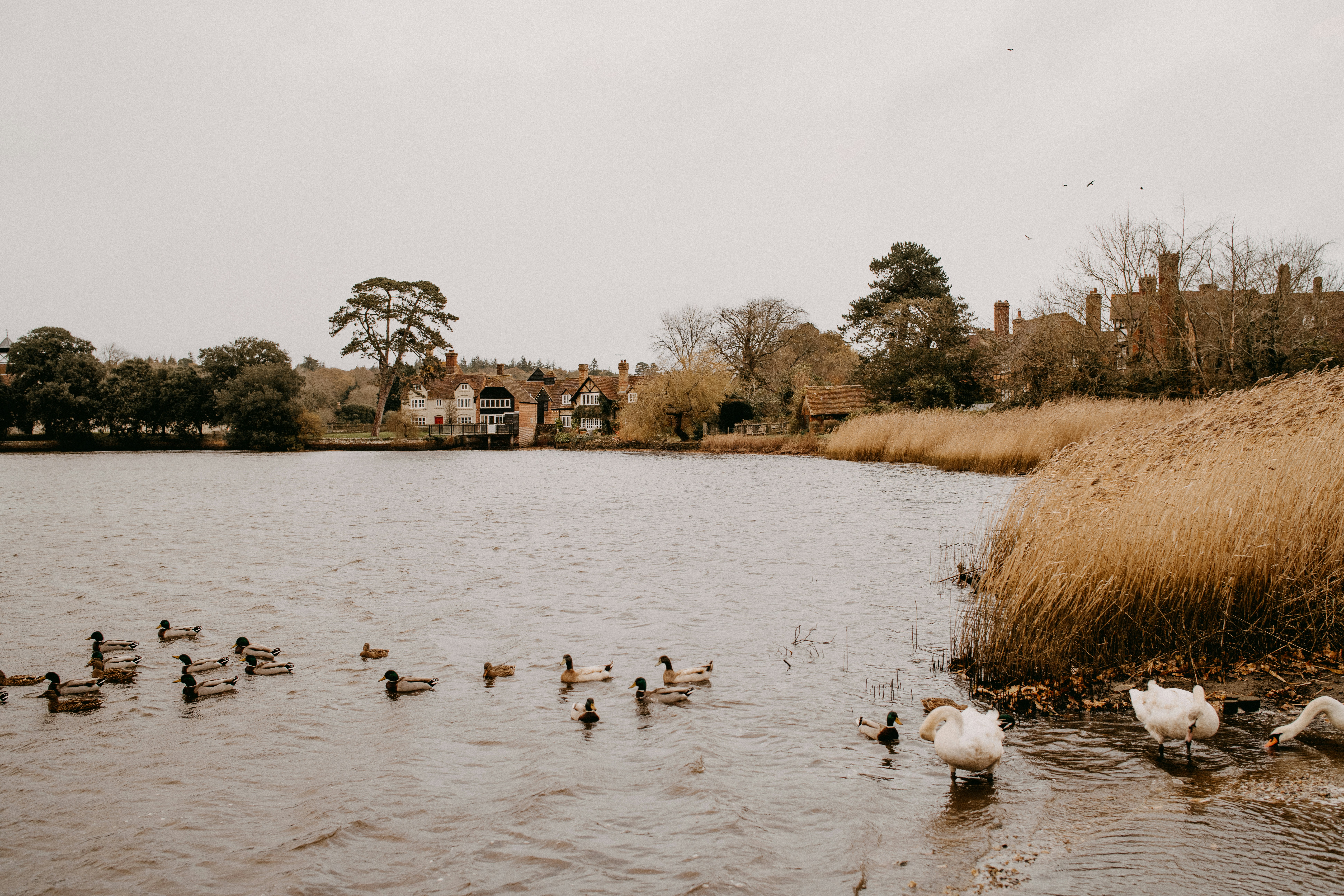 Photo by anniespratt