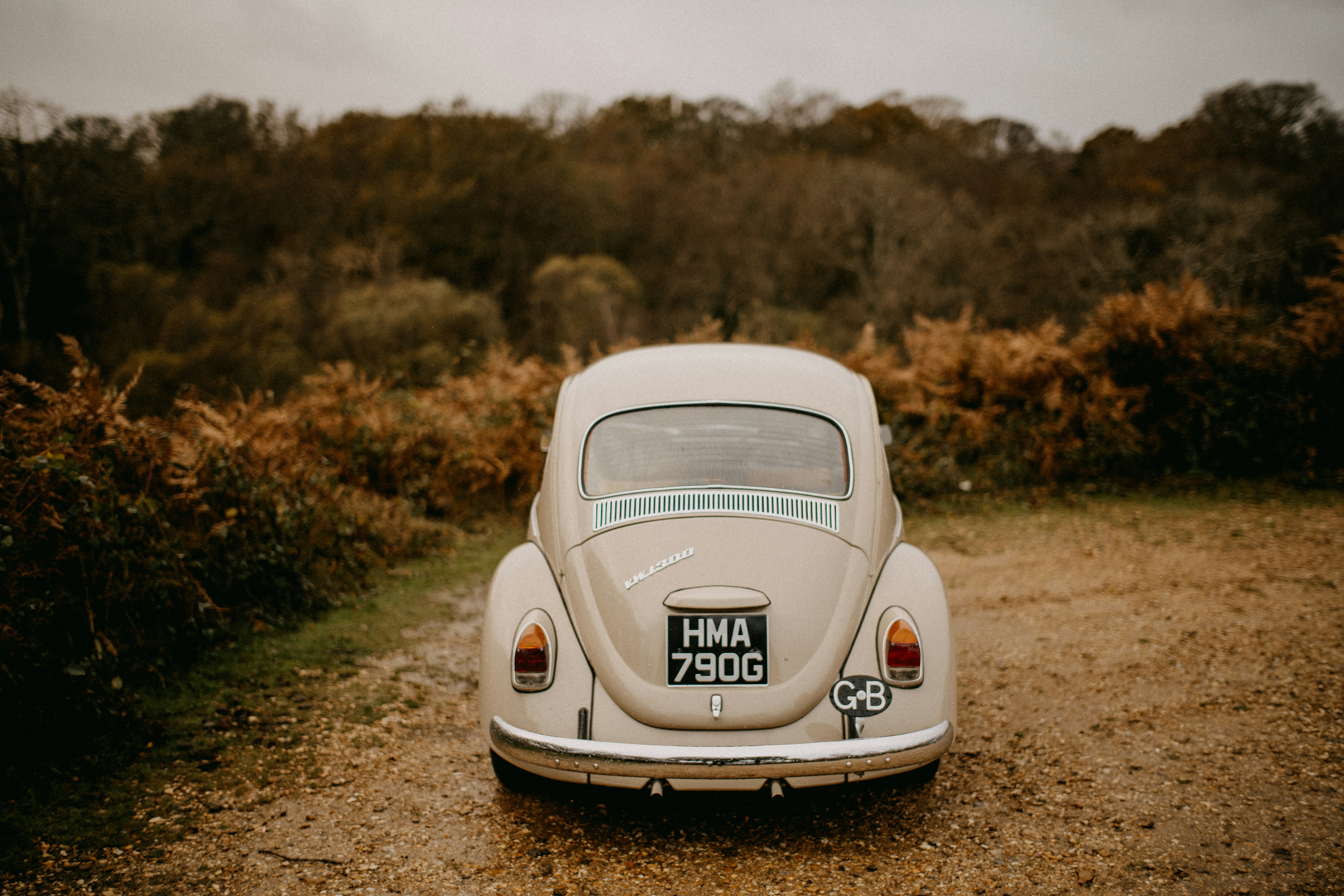 Photo by anniespratt