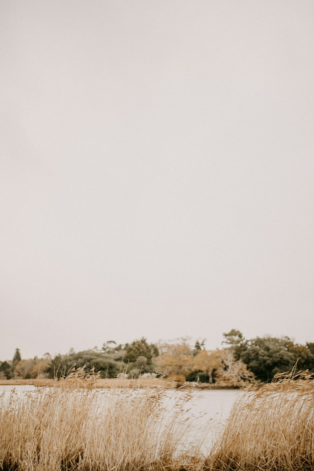 a man standing in a field next to a body of water