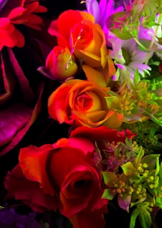 A vibrant image of a ginger and rose arrangement.
