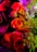 A vibrant and colorful floral arrangement featuring red and orange roses complemented by pink and white flowers with green leaves. The image is rich in color and detail, showcasing different flower types and foliage against a dark background.