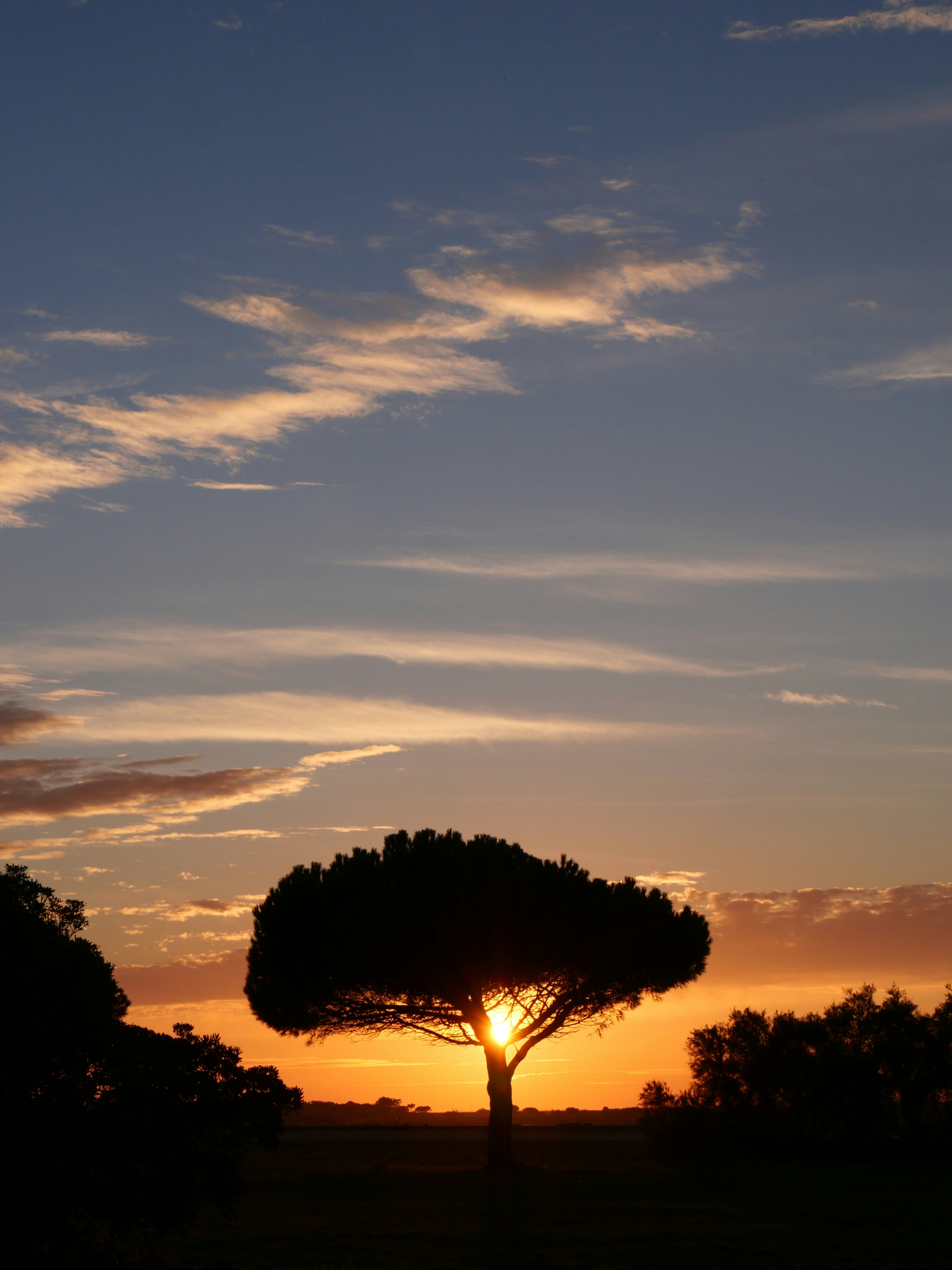 Photo by nimbus_vulpis