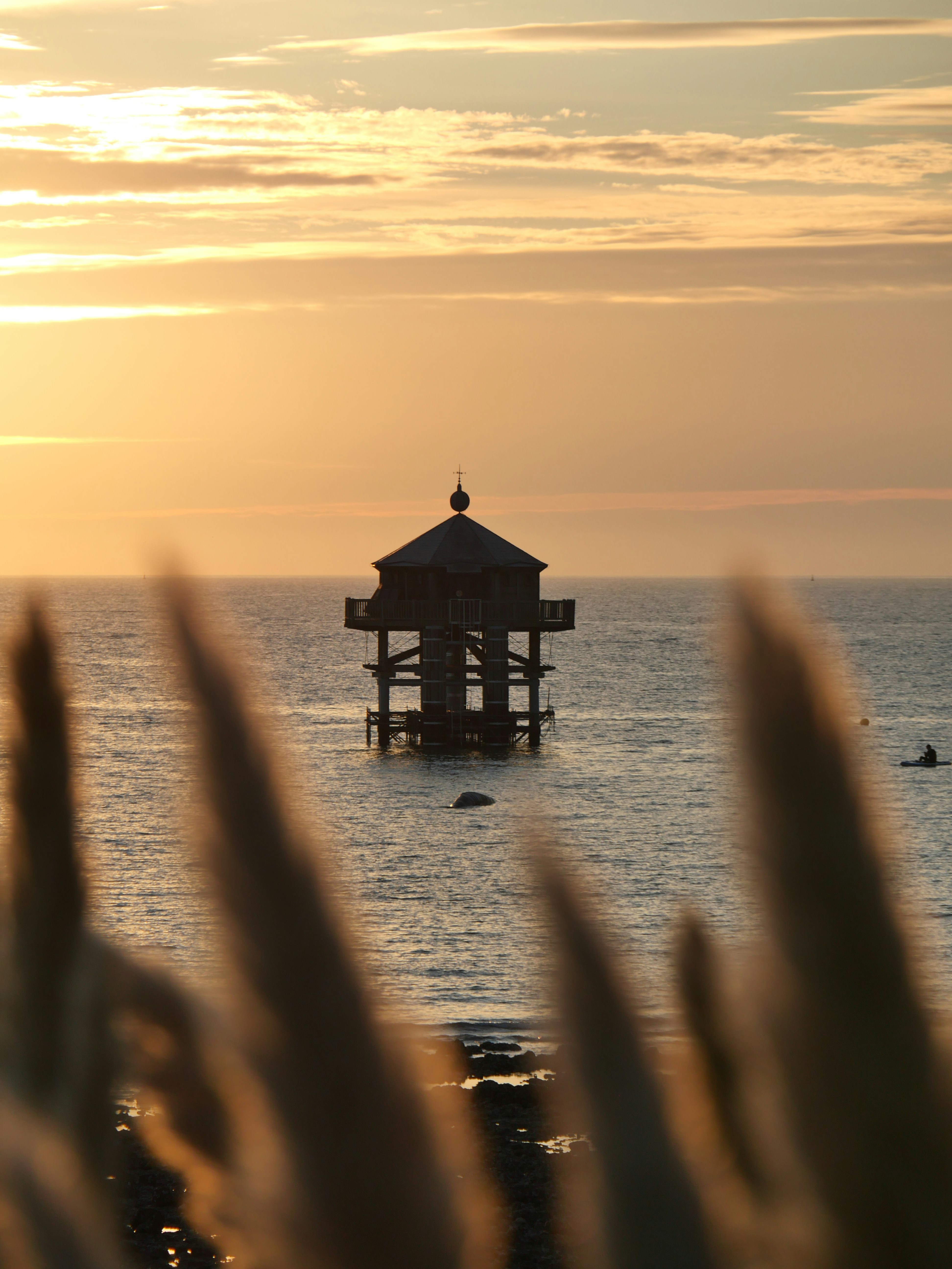 Photo by nimbus_vulpis