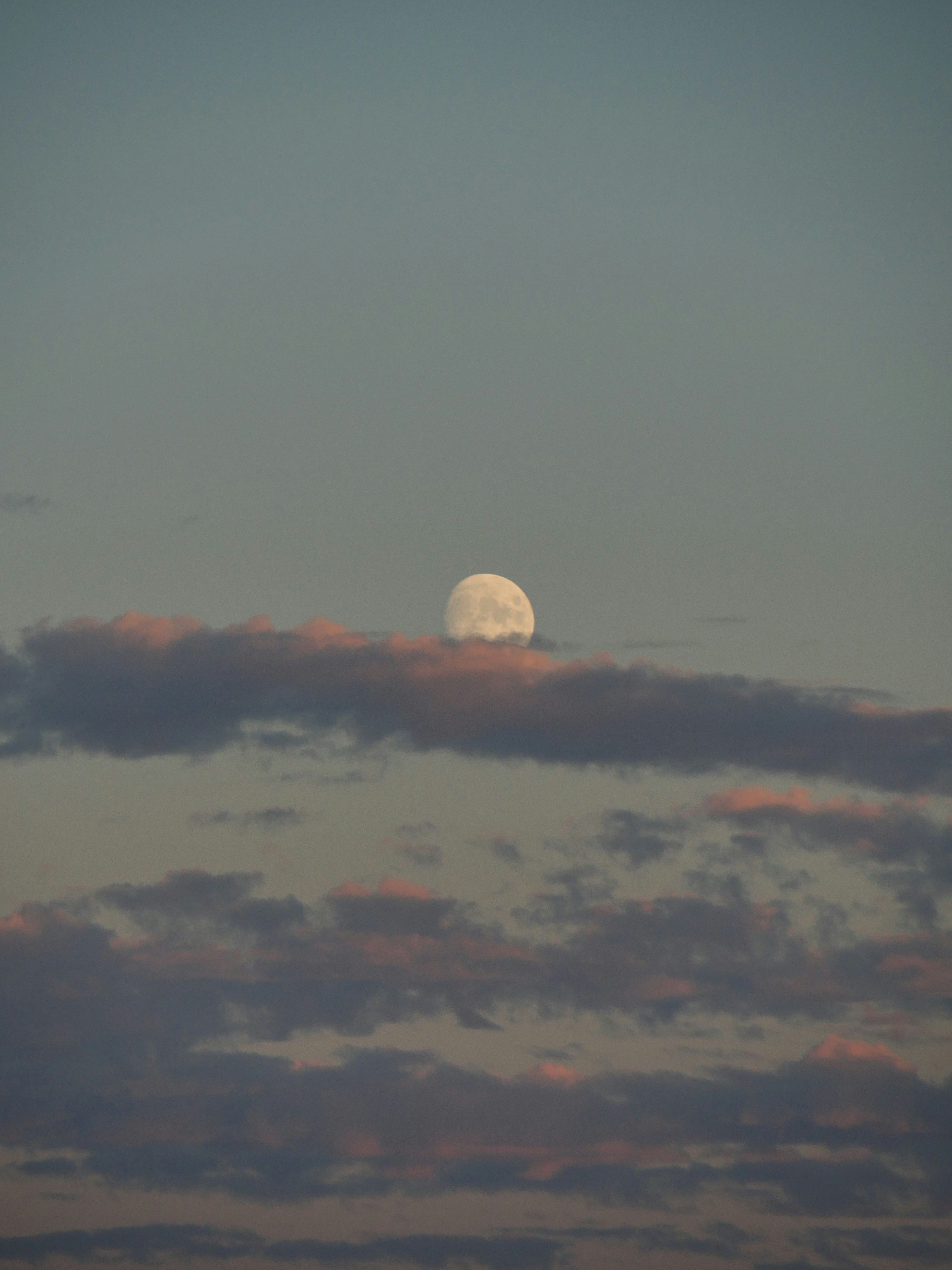 Photo by nimbus_vulpis