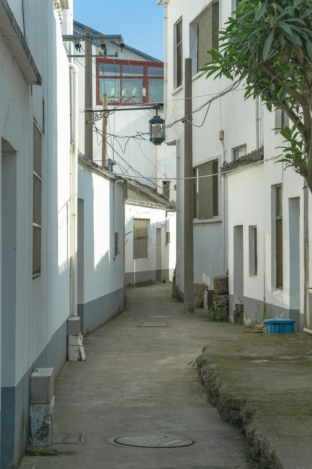 an alley way with a tree and a building in the background