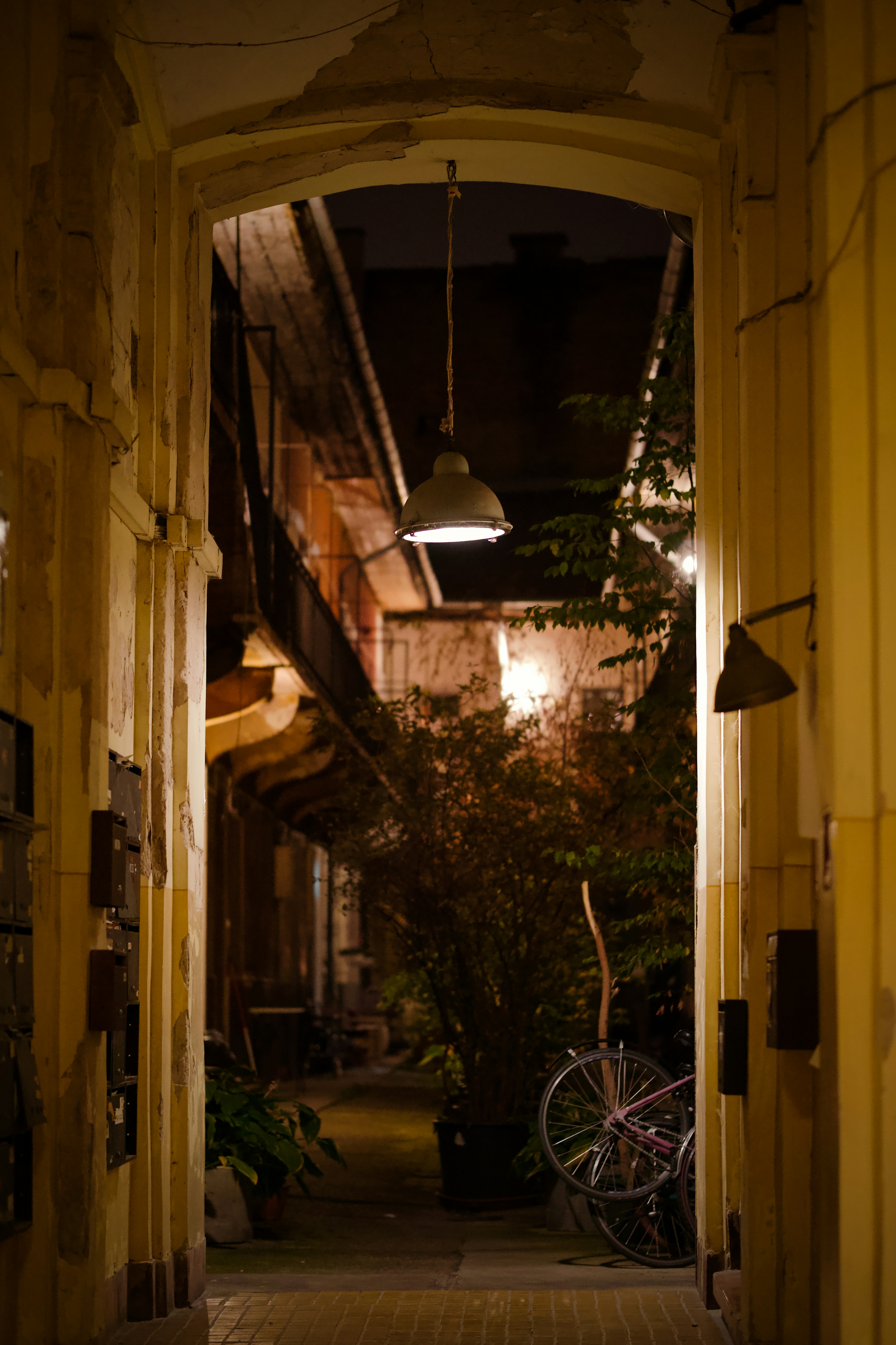 Photo by romanbodnarchuk