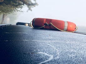A bright orange life preserver with white reflective strips rests on a flat, frosty surface, likely the roof of a vehicle. The background shows a misty environment with tree branches extending from the left side, creating a serene and somewhat mysterious atmosphere.