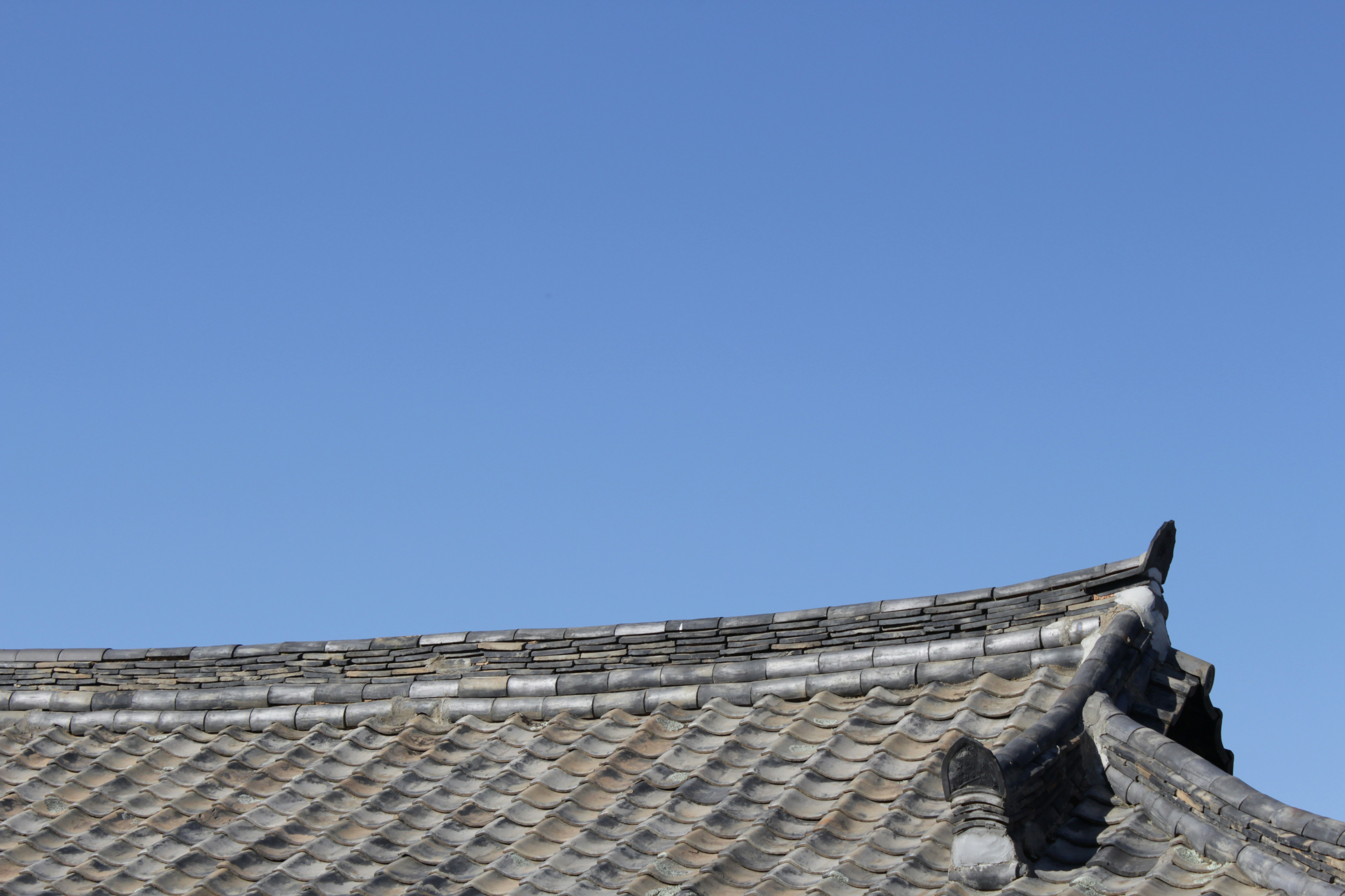 a bird is perched on the roof of a building, 