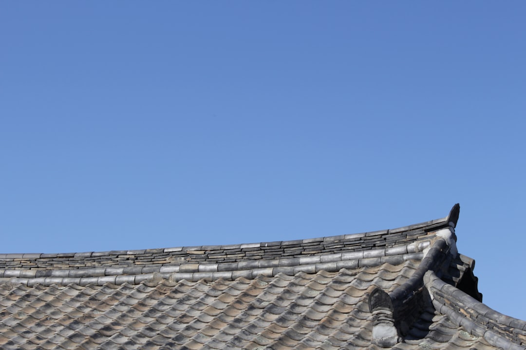 a bird is perched on the roof of a building,