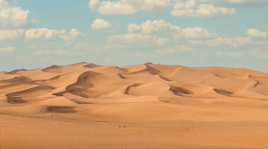 Dubai Desert