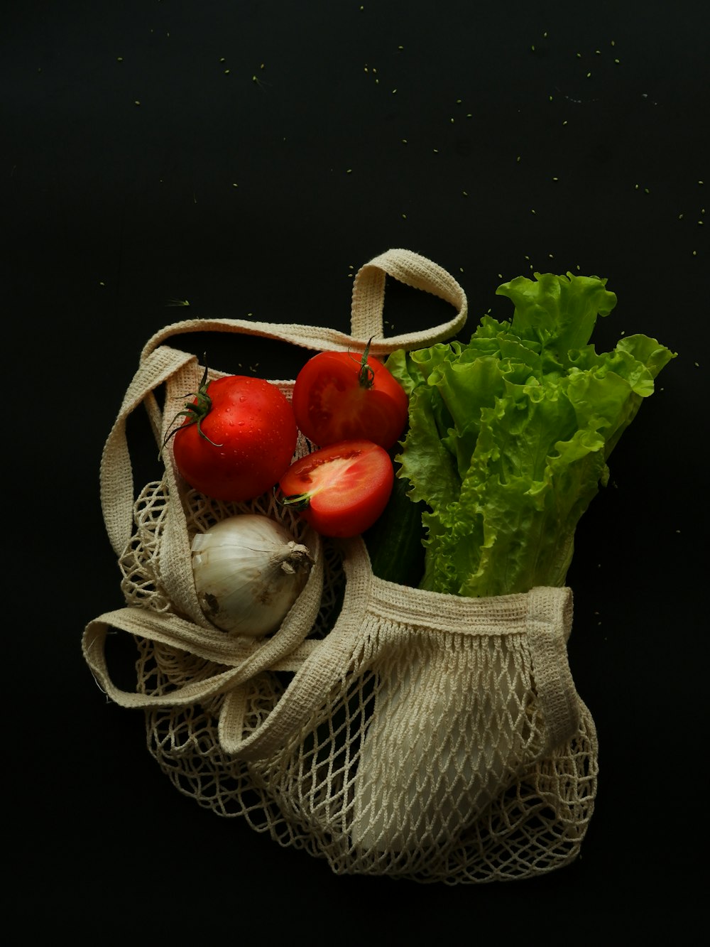 a bag filled with lettuce and tomatoes