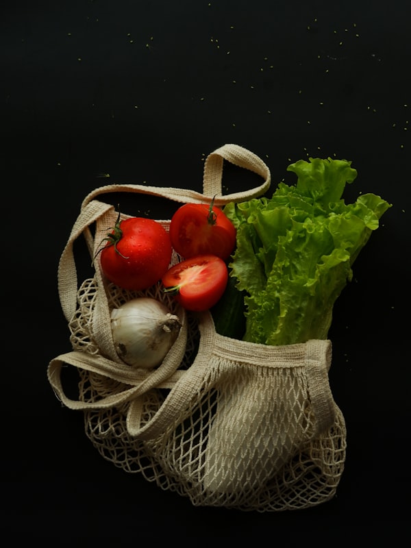 Grocery Bag