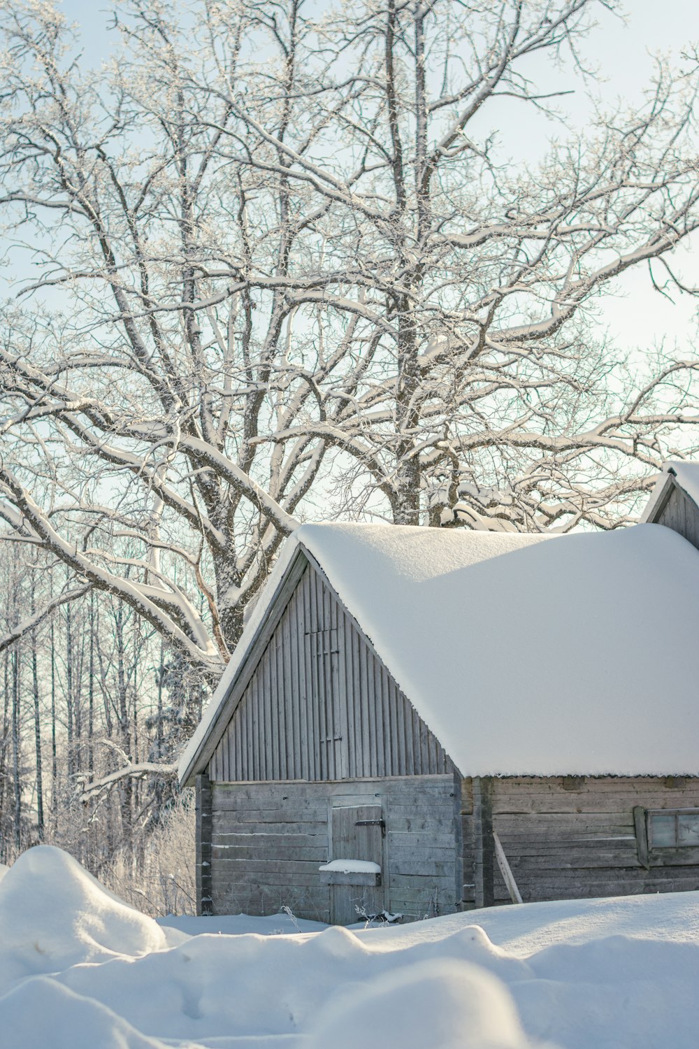 a barn in the middle of a snowy field