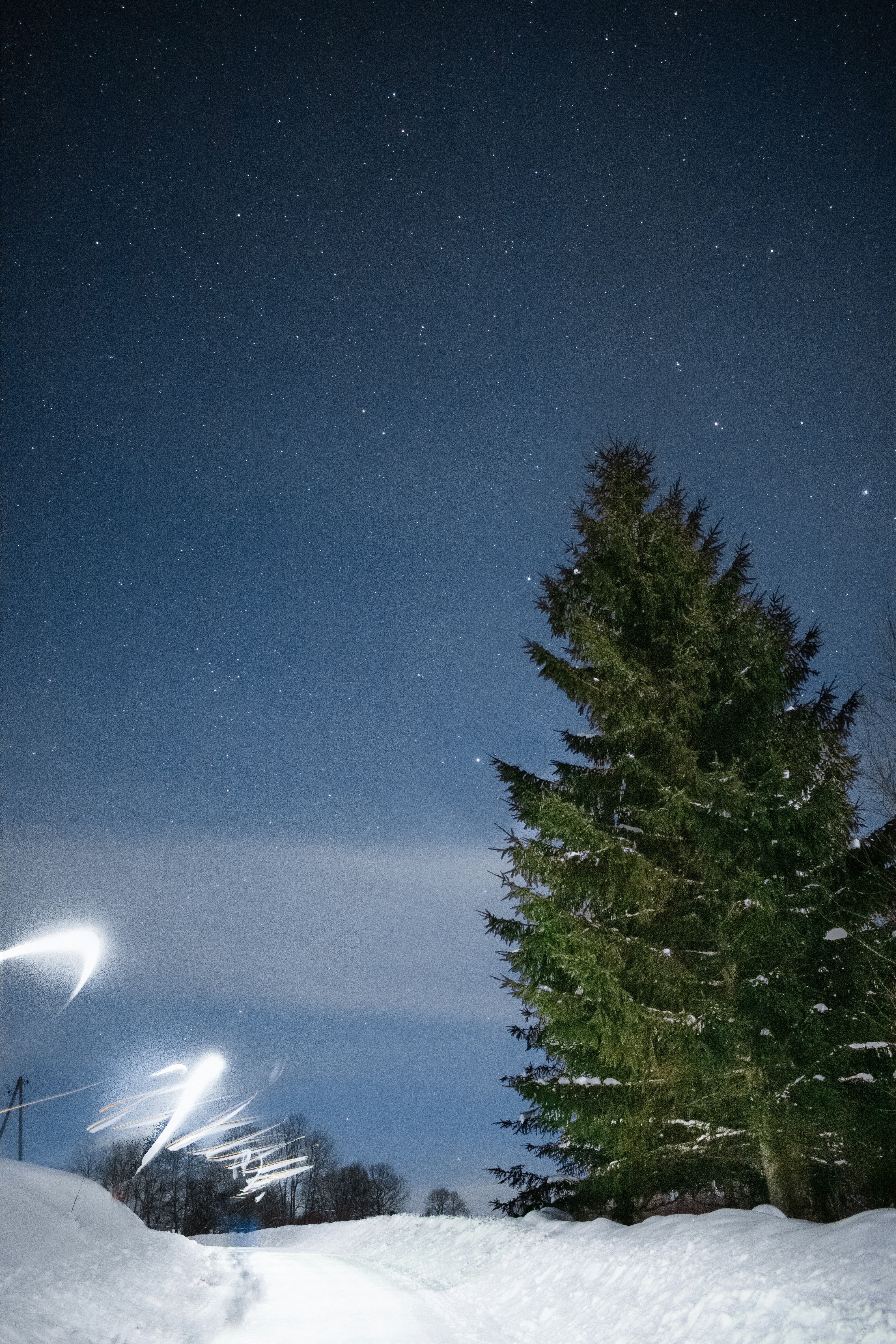 Photo by ainarscekuls