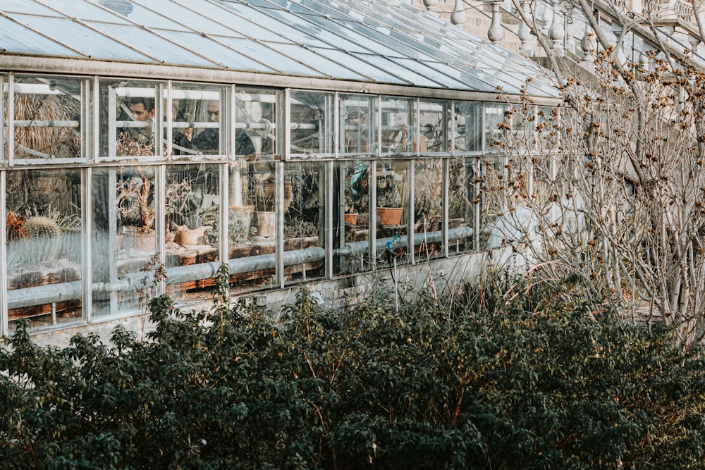 a building that has a bunch of windows in it