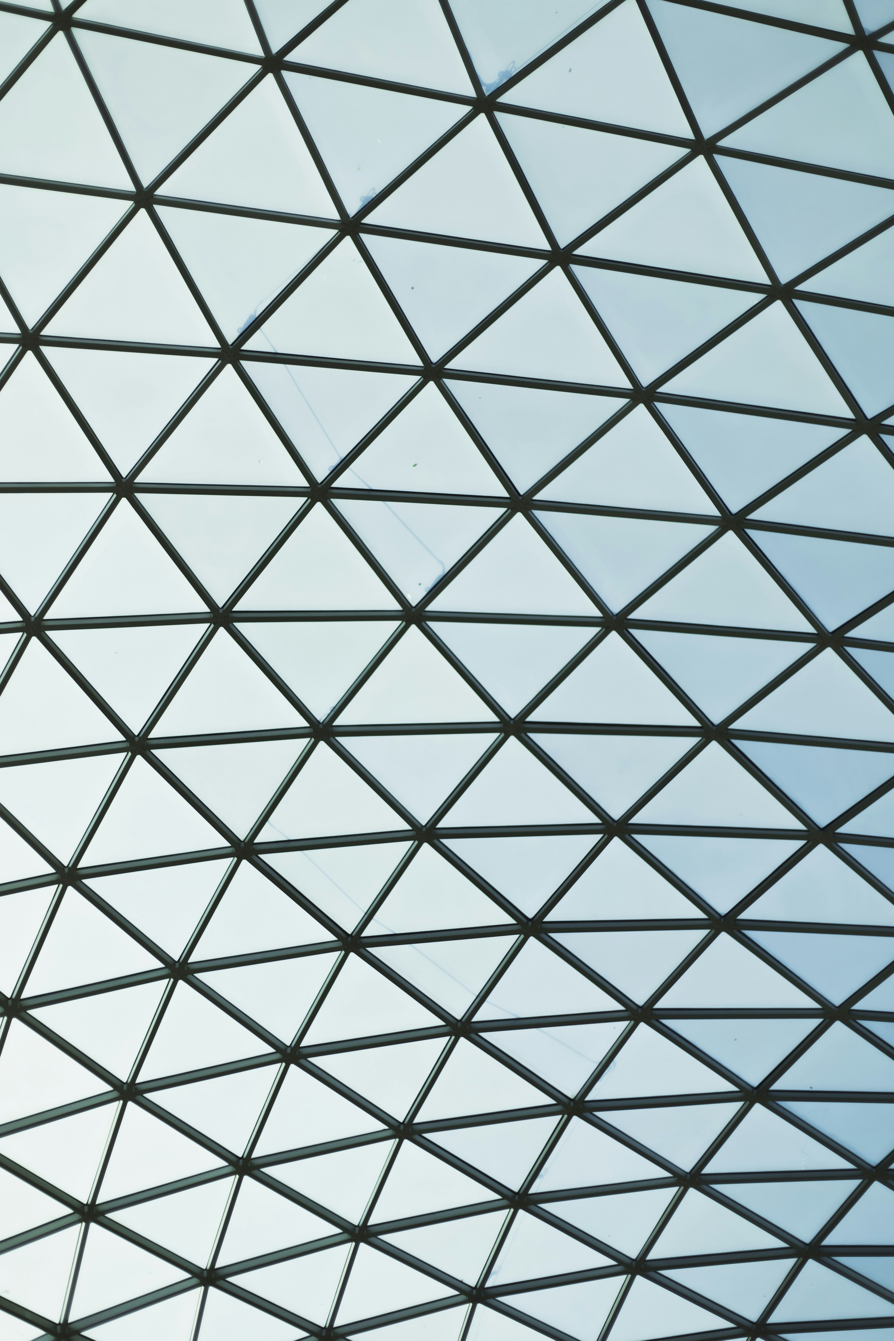 Photo by hamishkale_