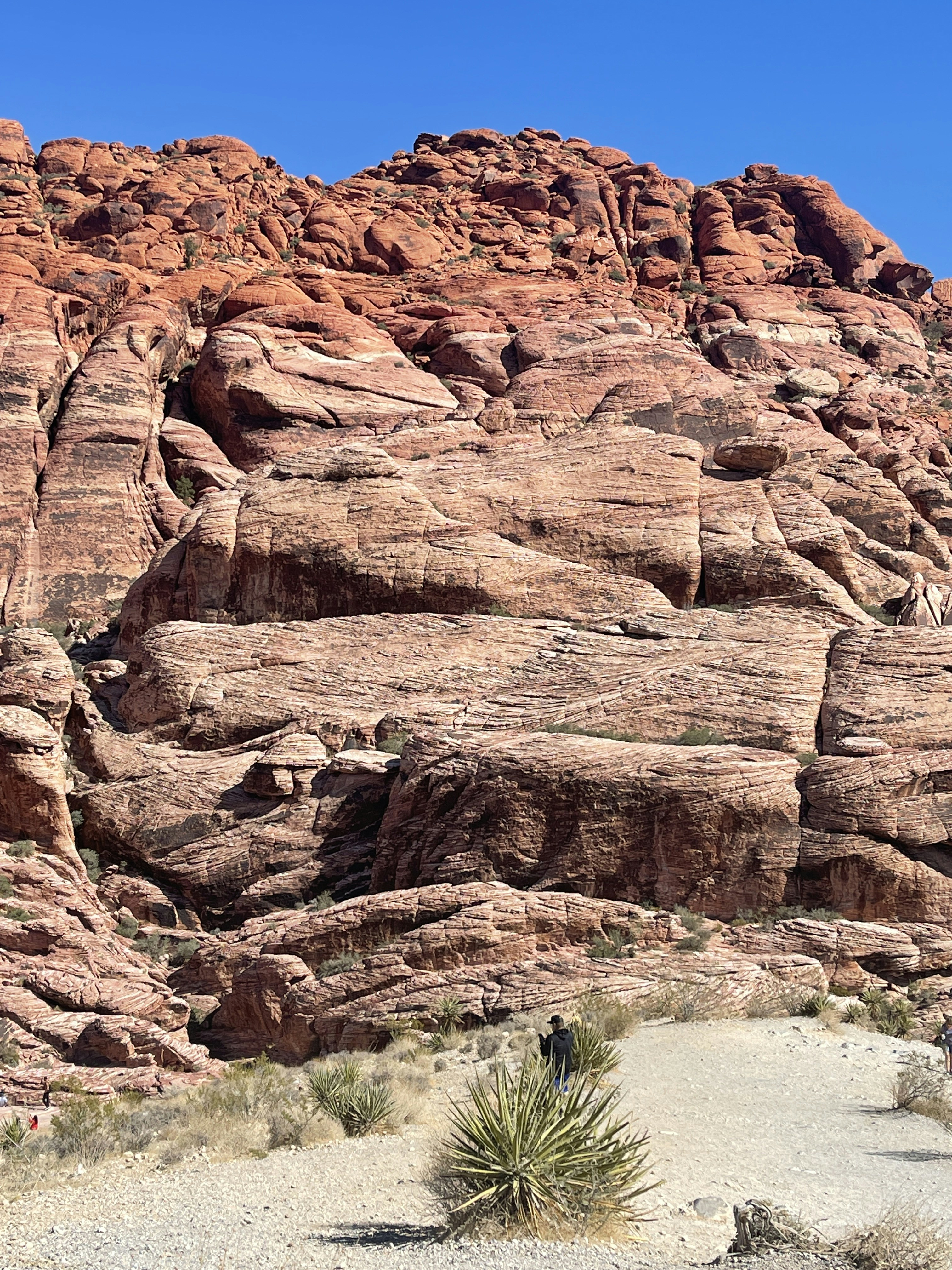 Photo by elevateitnow