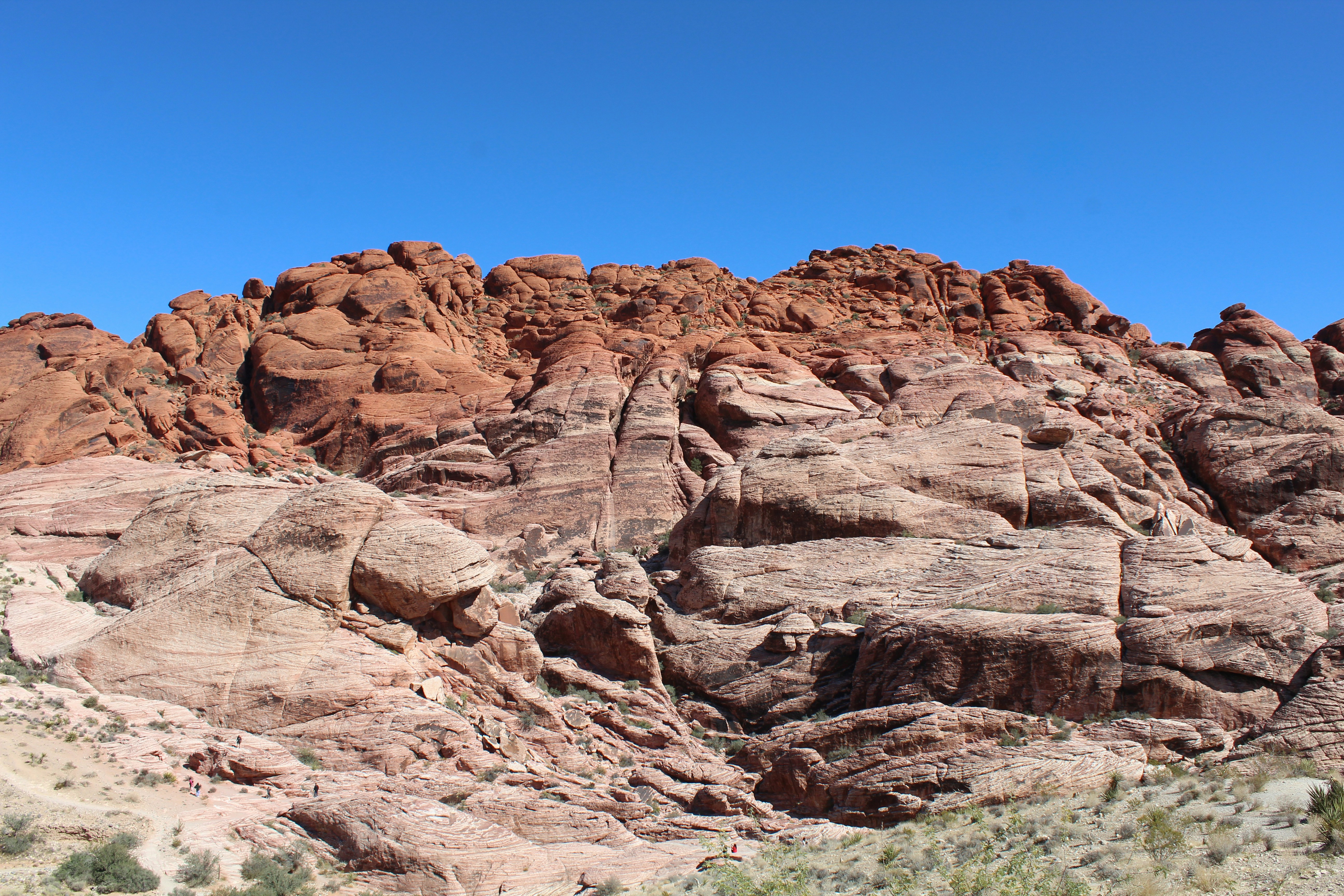 Photo by elevateitnow