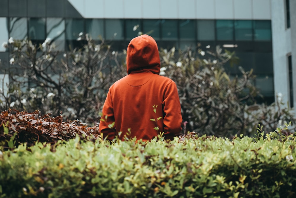 a person in an orange hoodie standing in a field of bushes