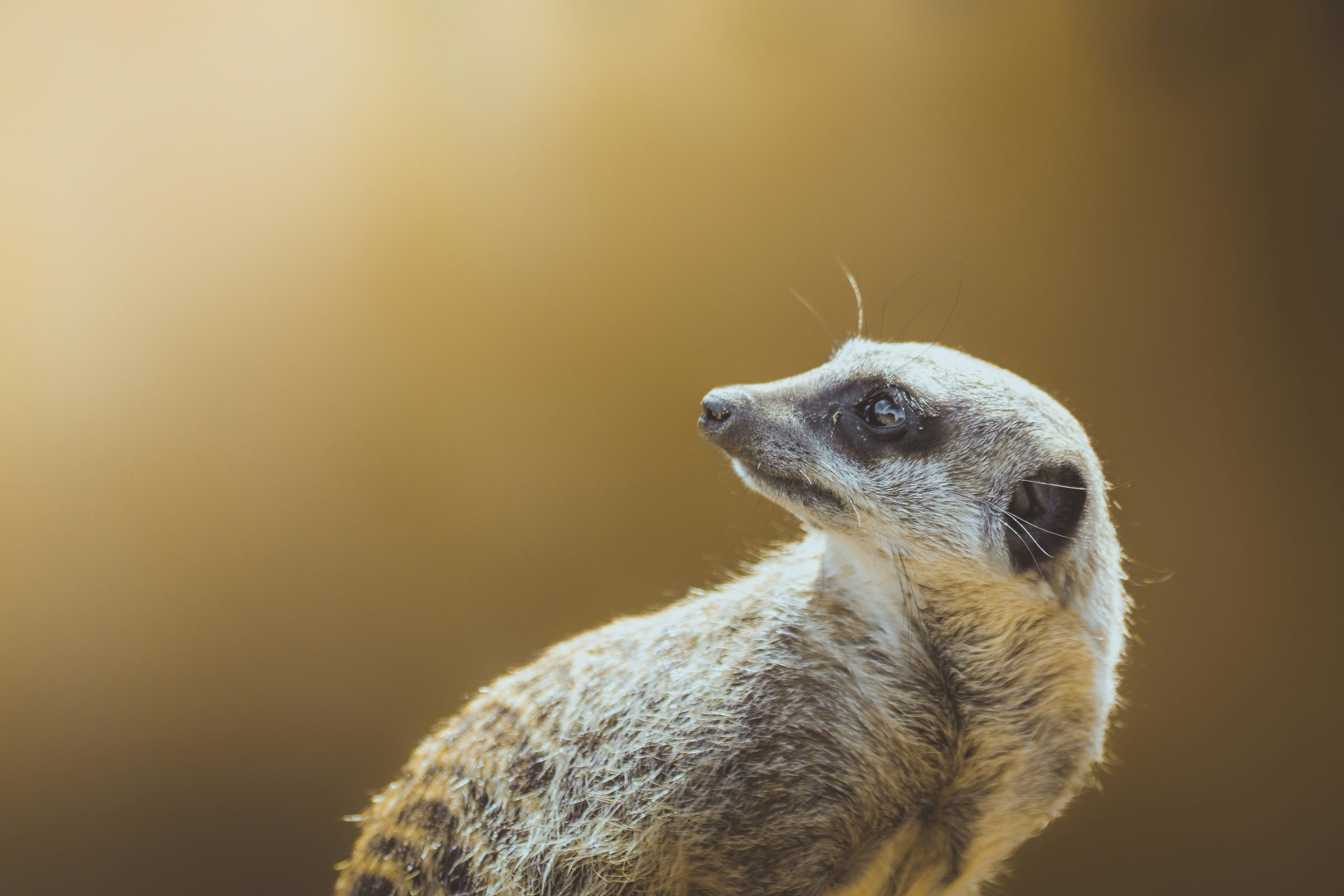 Photo by carljwynnphoto