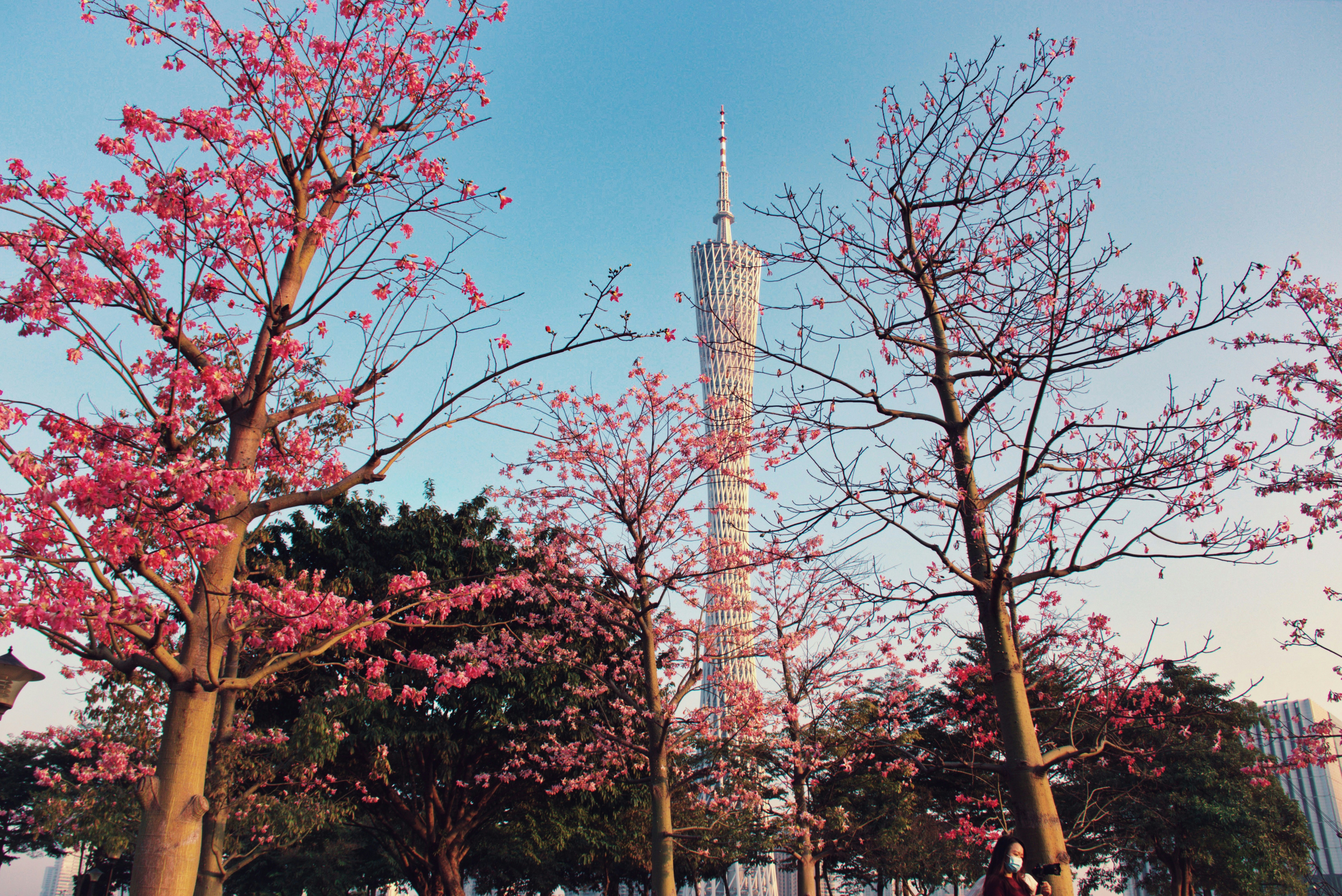 广州的冬日散步记：12月版