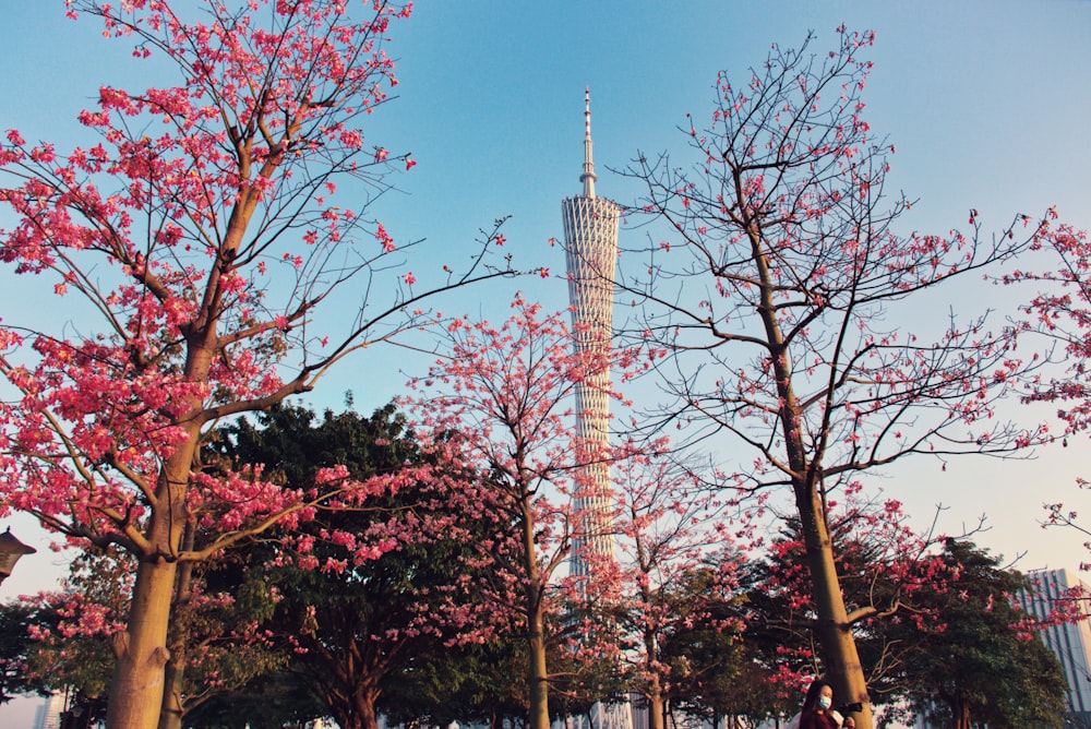 a tall tower towering over a lush green park