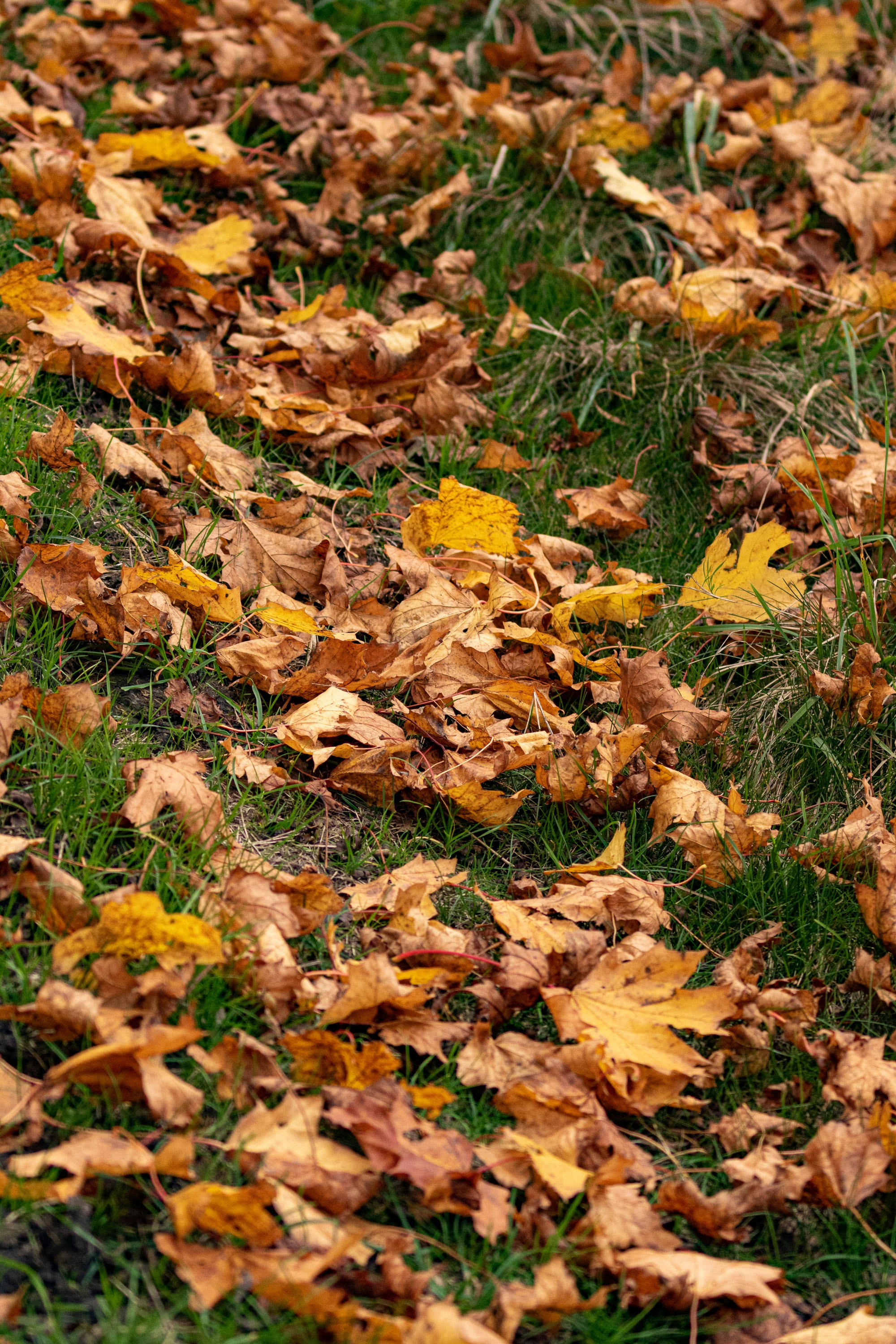 Photo by itscakefortea