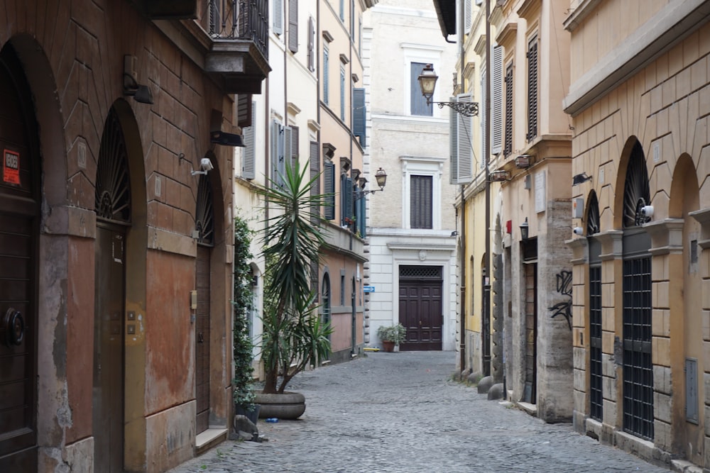 a narrow alley way with a potted plant in the middle