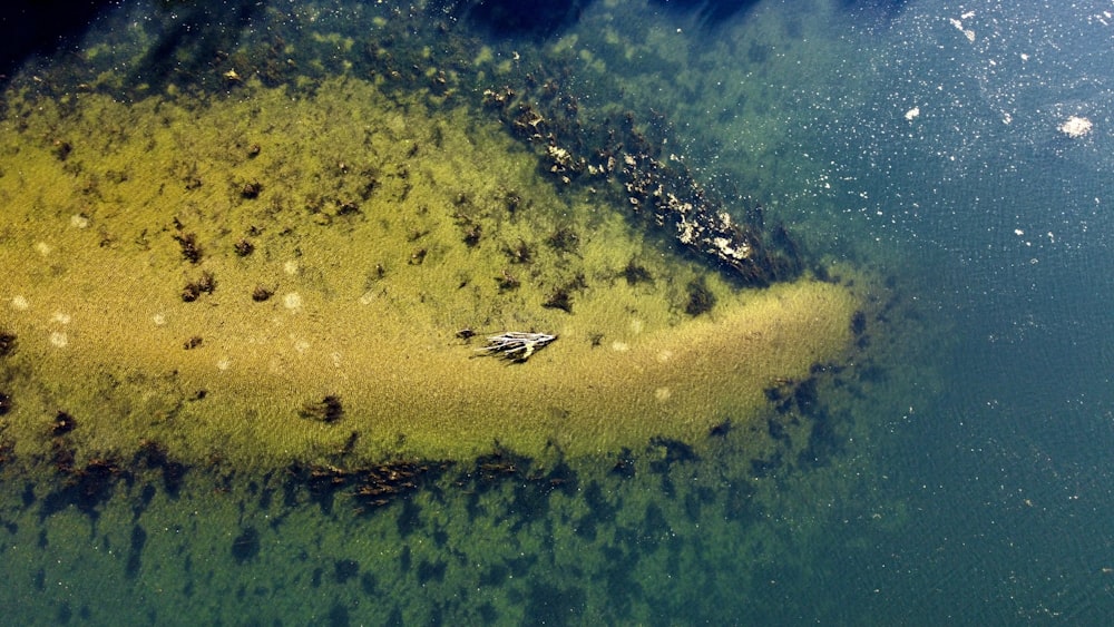 an aerial view of an island in the water