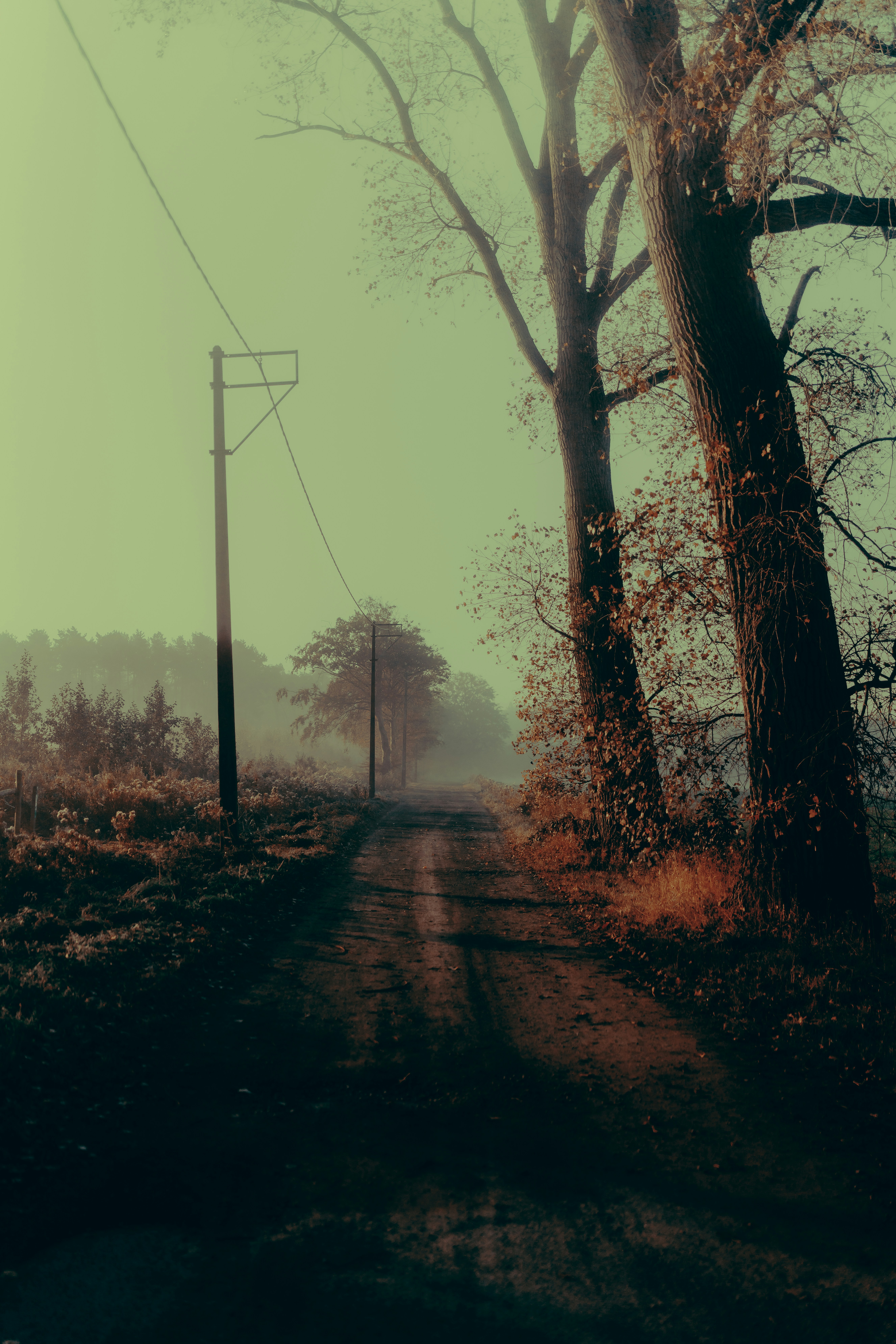 Photo by mikecrawat