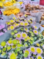 Bundles of various flowers wrapped in plastic, displaying vibrant colors. Purple and yellow blooms dominate the foreground, while different shades of yellow and pink flowers are arranged in the background.