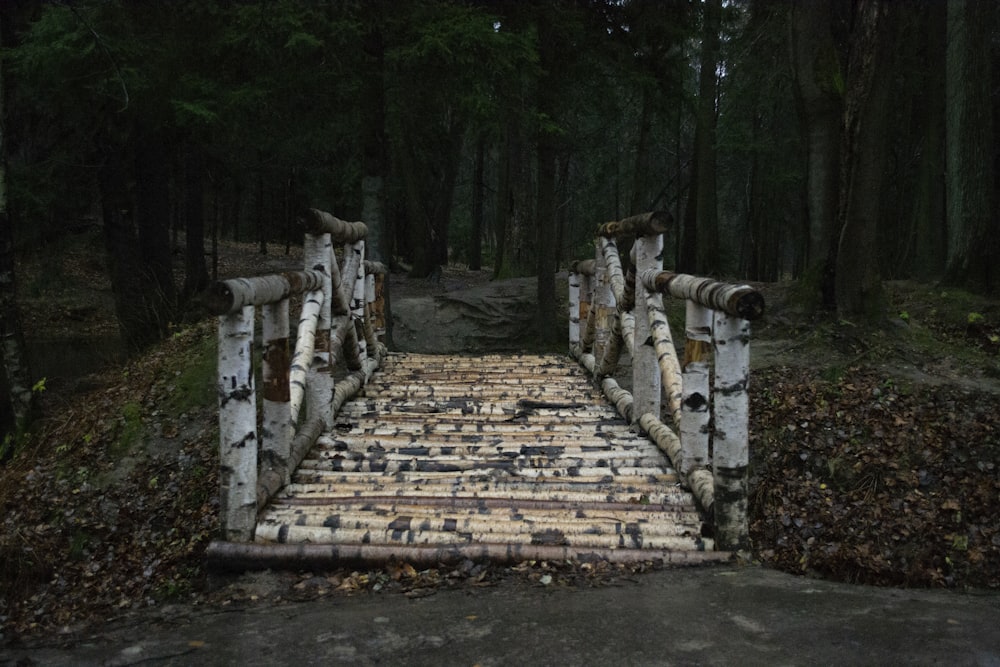 a wooden bridge in the middle of a forest