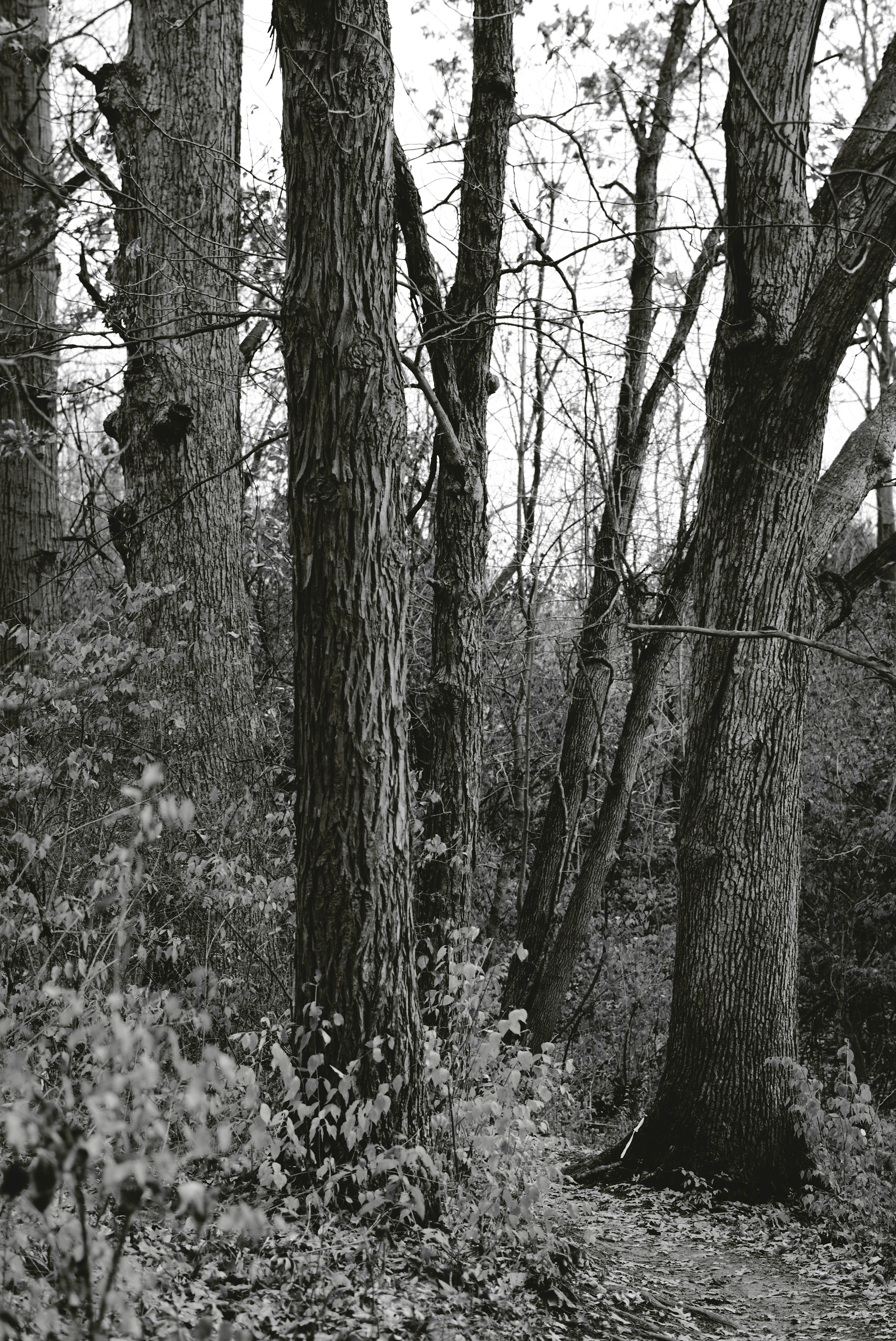 Photo by mrgreatheart