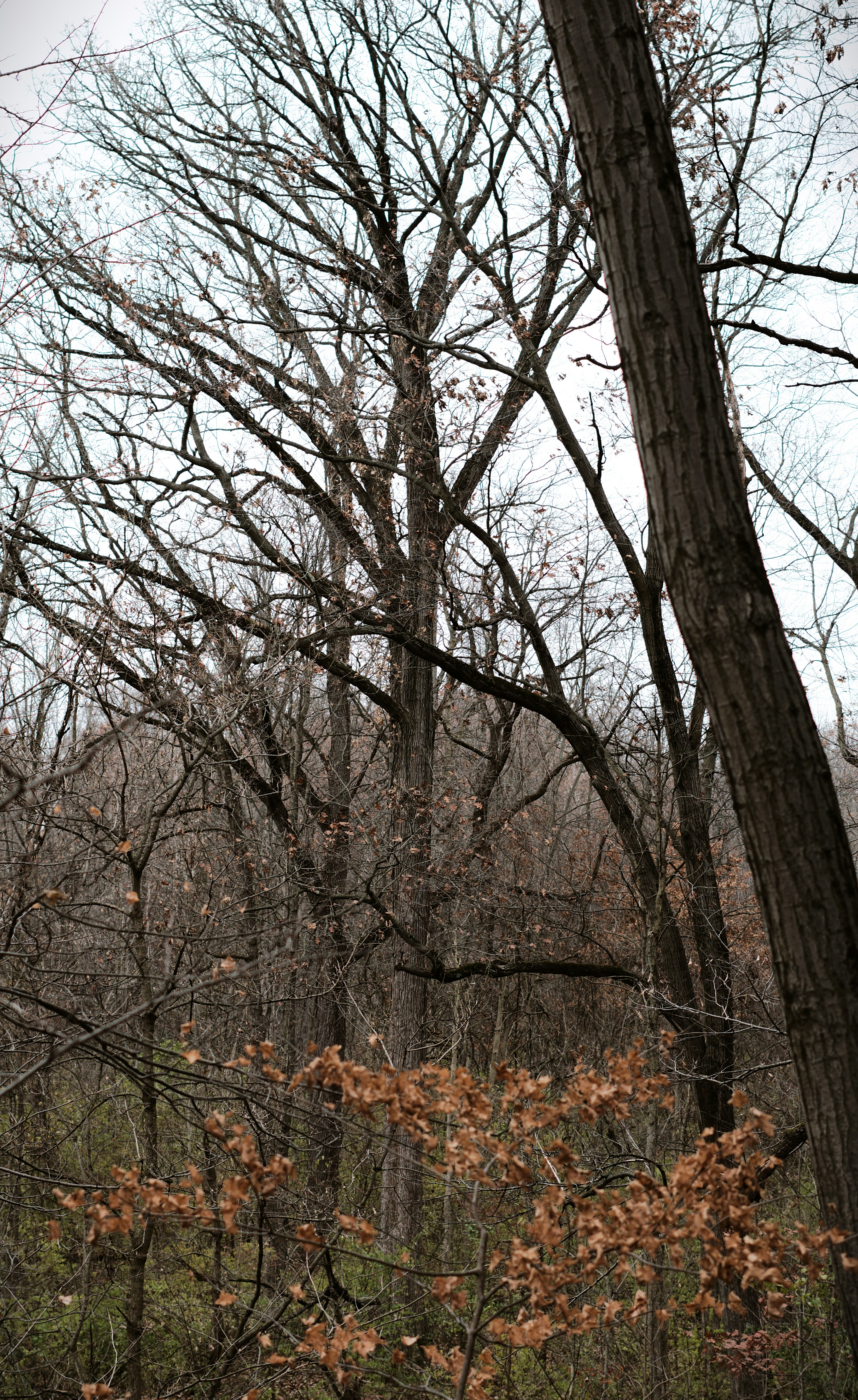 Photo by mrgreatheart