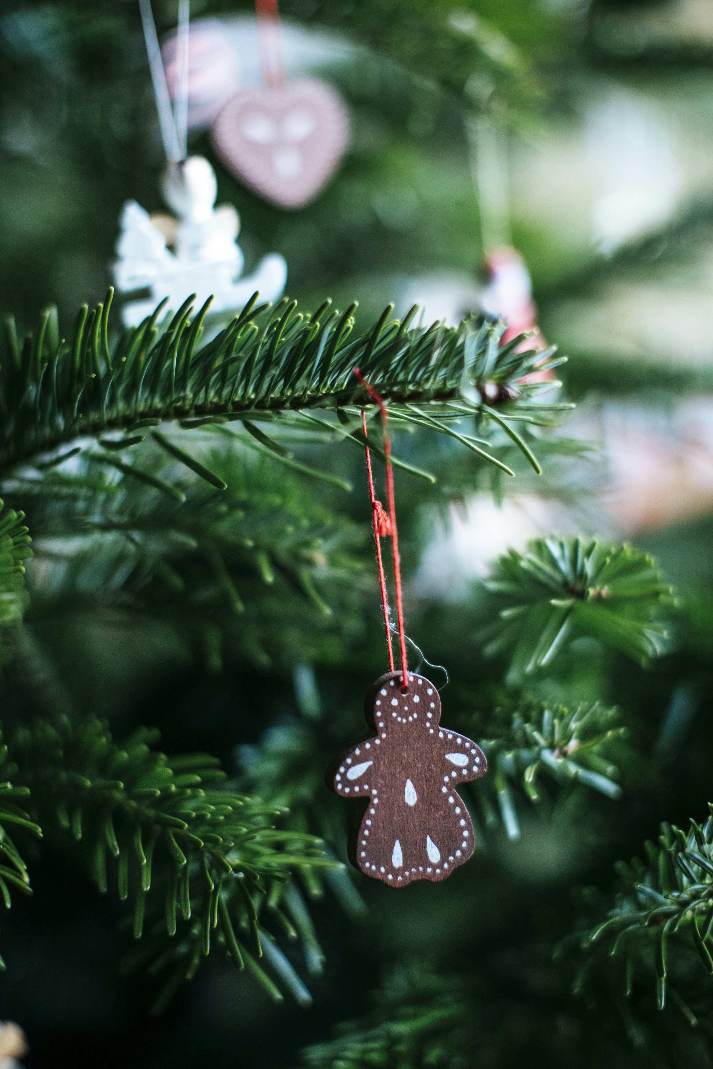 Photo by markusspiske