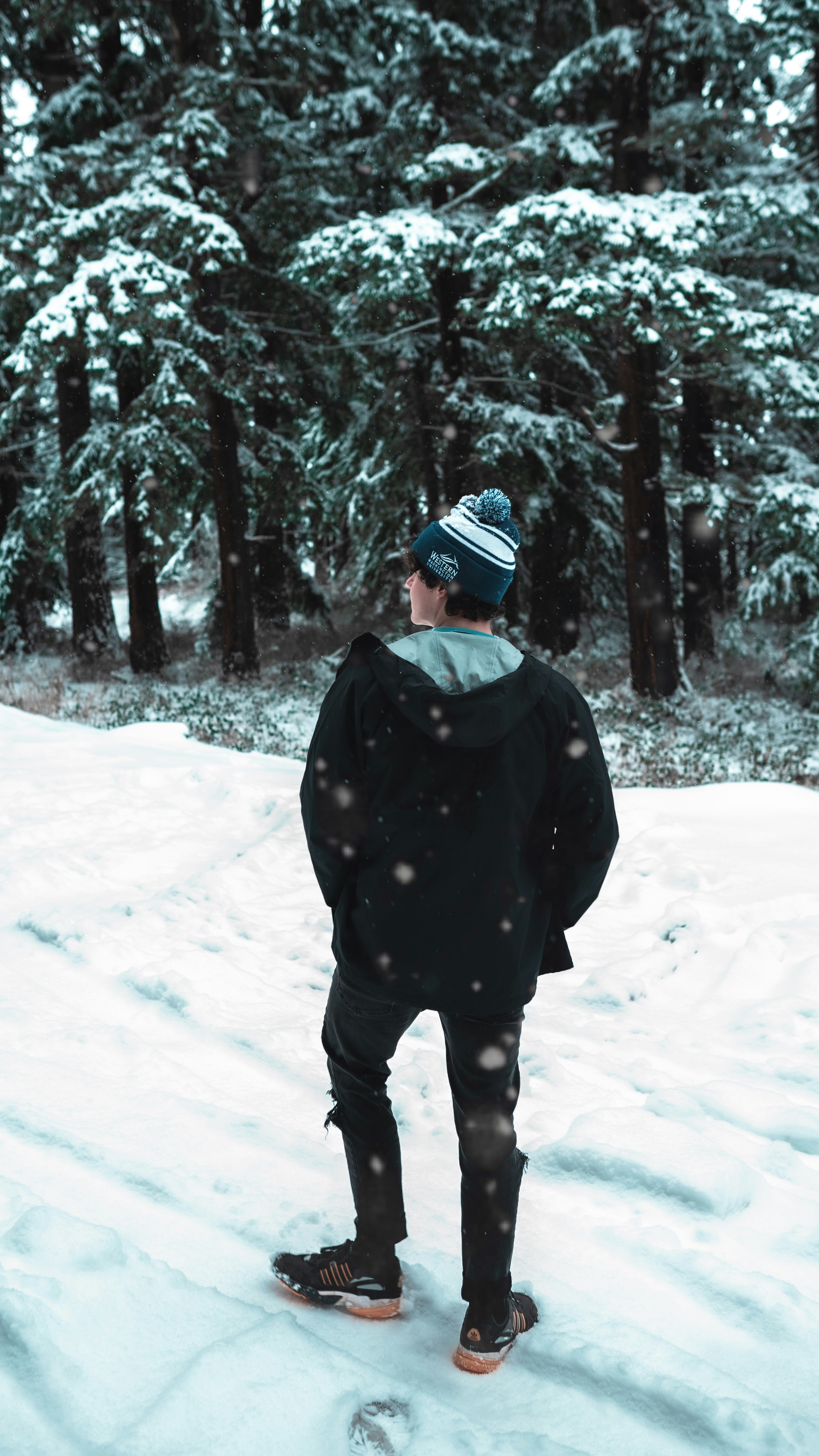 Photo by williamarndt