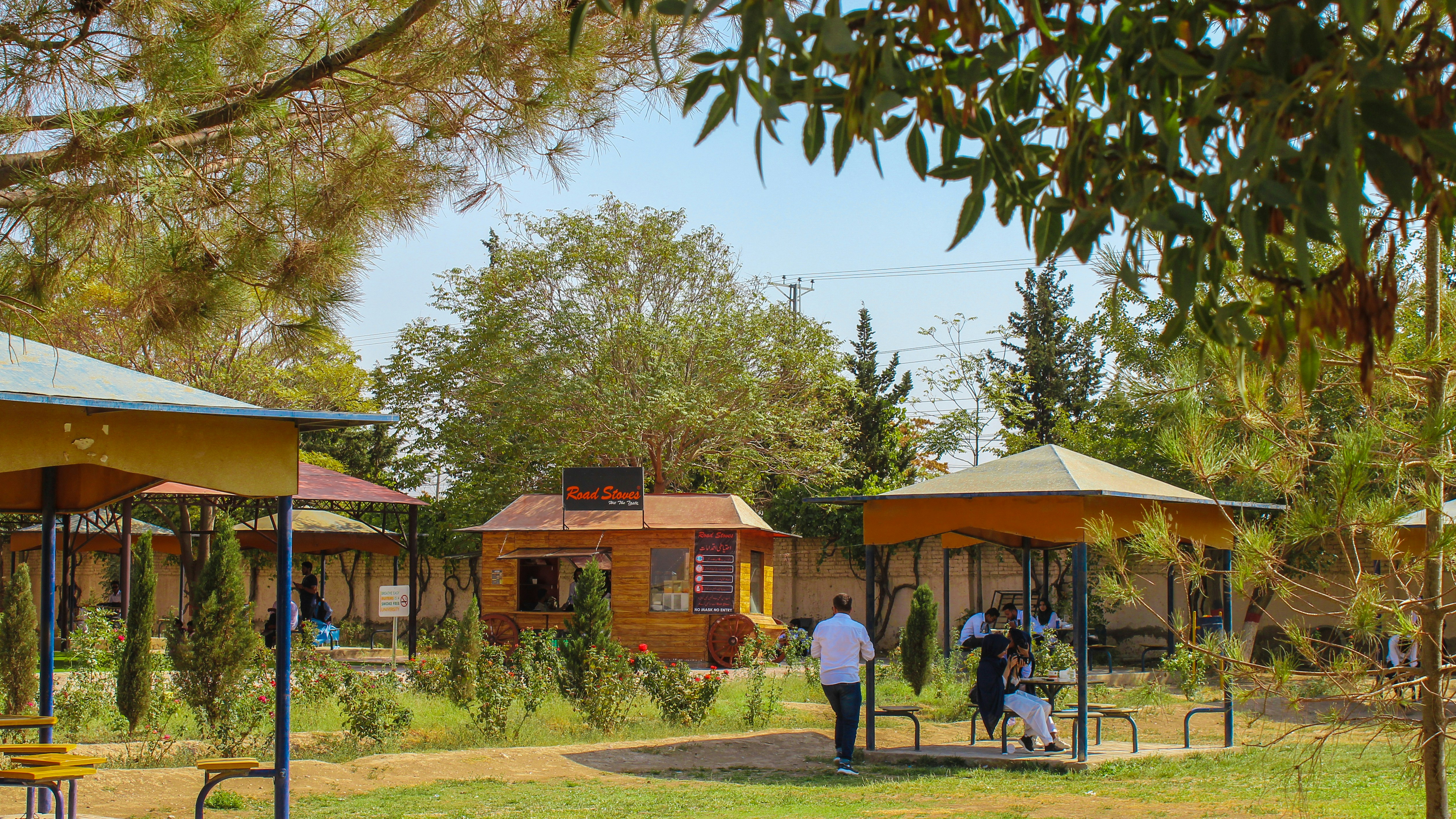 Pemanfaatan Bacillus SP. Dan Pseudomonas Fluorescens Untuk Mengendalikan Penyakit Layu Tomat Akibat Sinergi R. Solanacaerum Dan Meloidogyne SP. Image