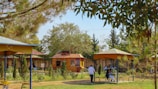 a group of people walking around a park