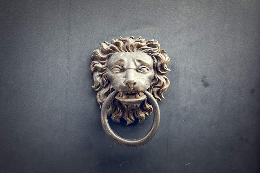 a lion's head is attached to a door handle